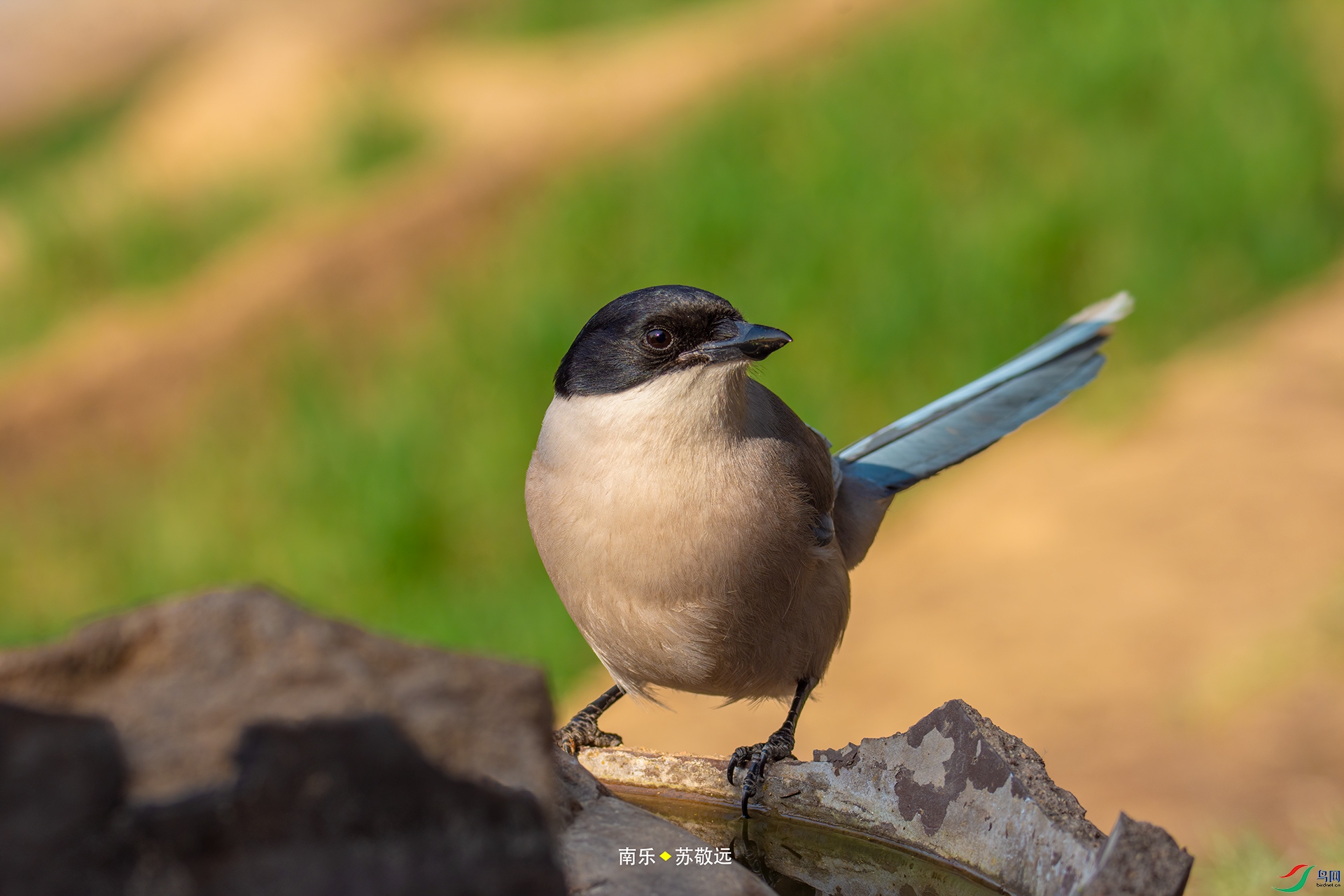 _DSC4599С.jpg