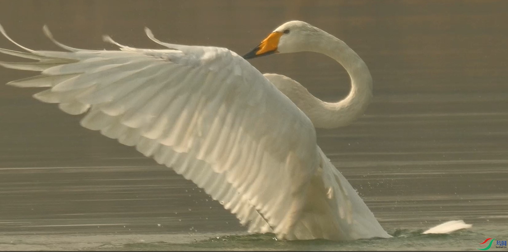 ��Ļ��ͼ 2023-03-08 100957.jpg