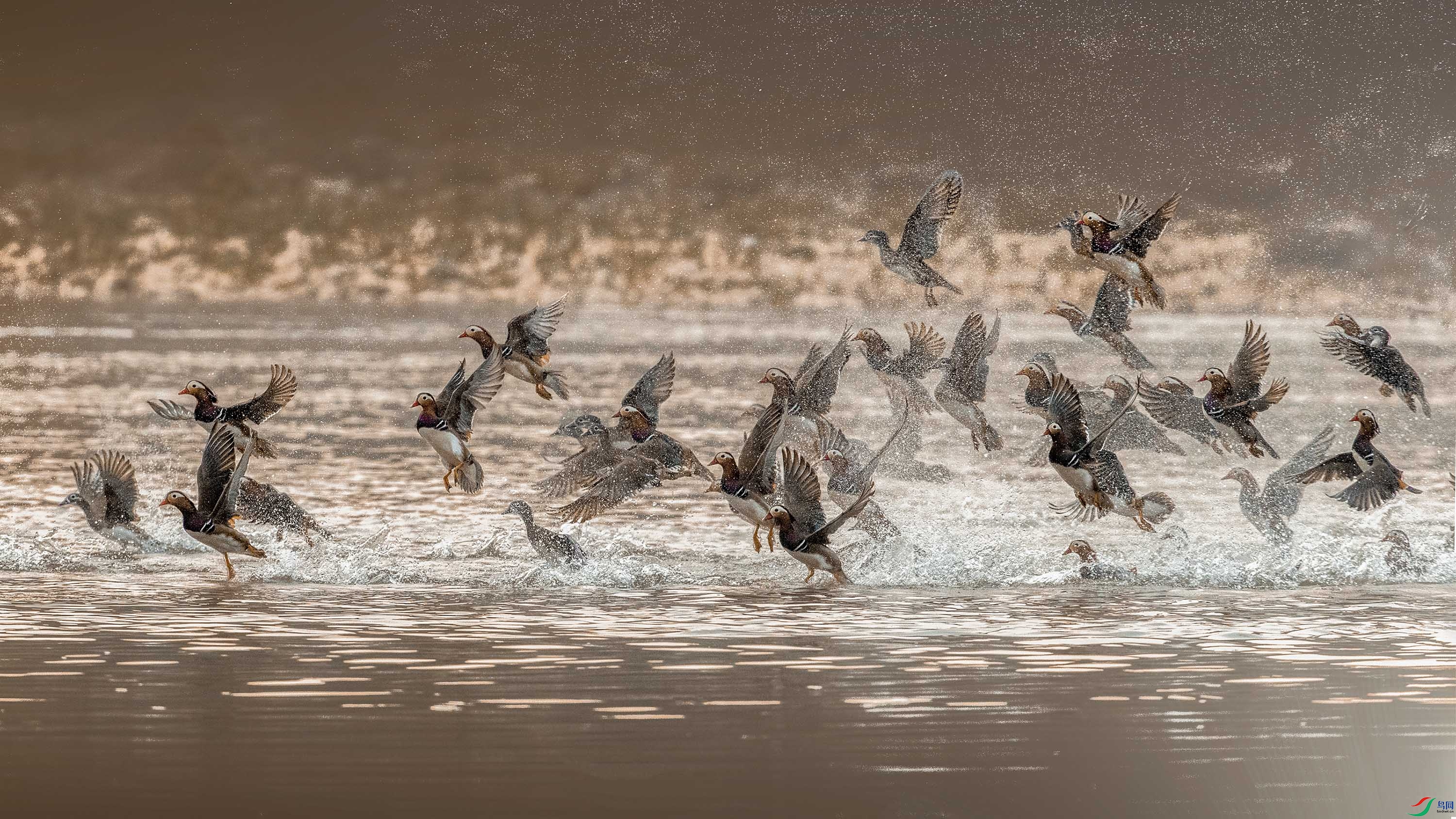 AB8I0897 ���� 21.jpg