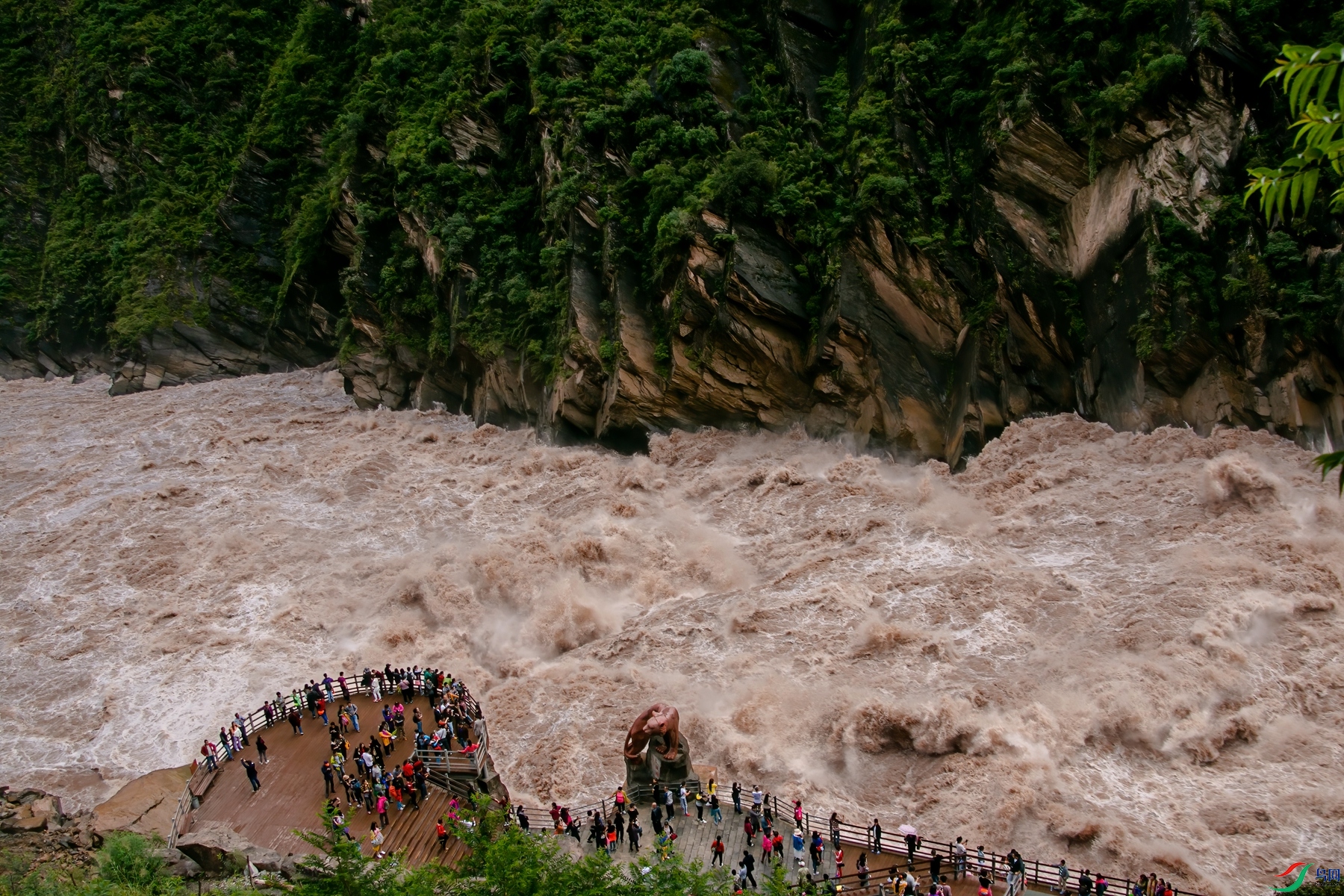 IMG_2559 ����1_����.jpg