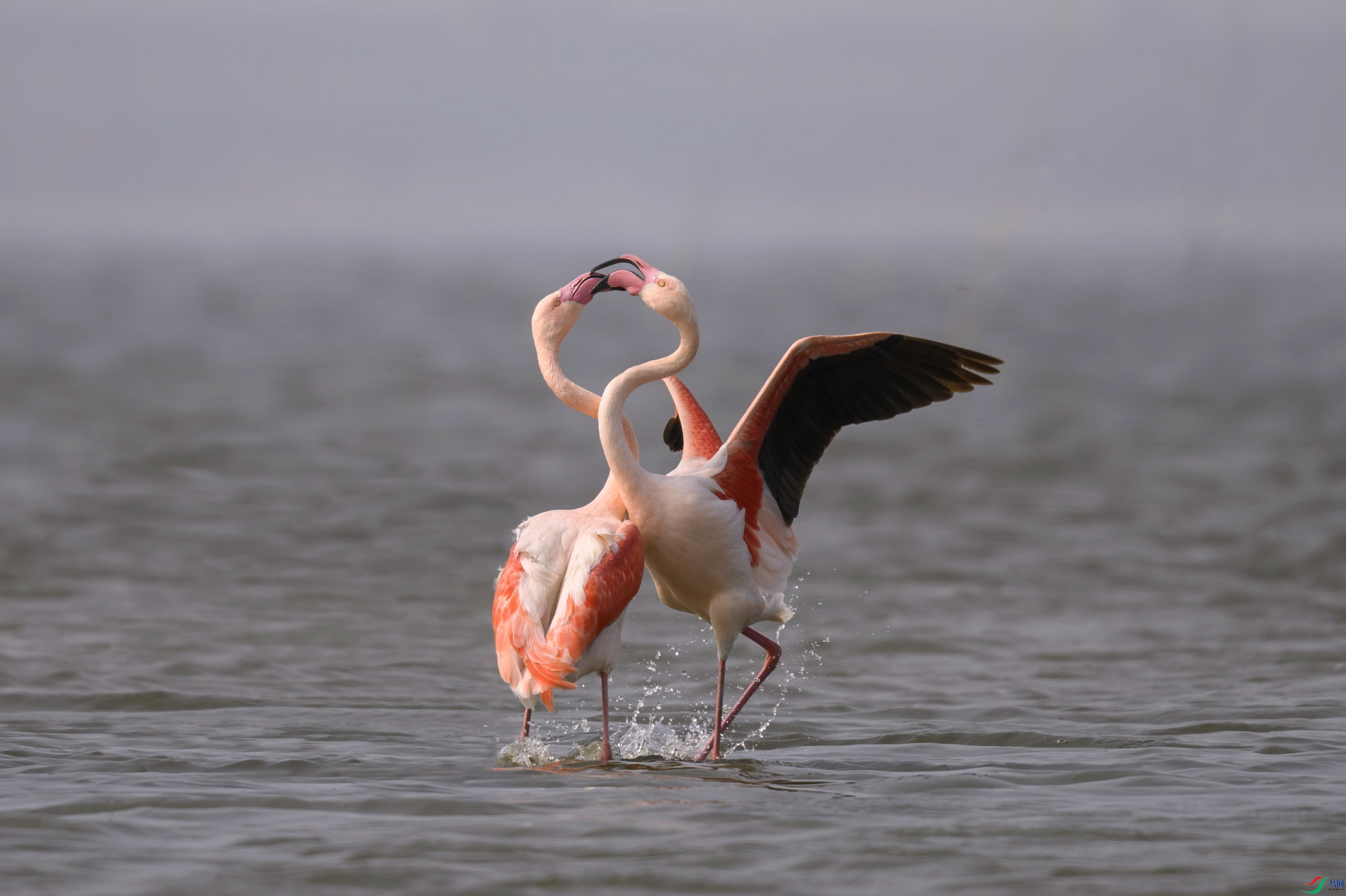 _DSC5406 ����F01.jpg