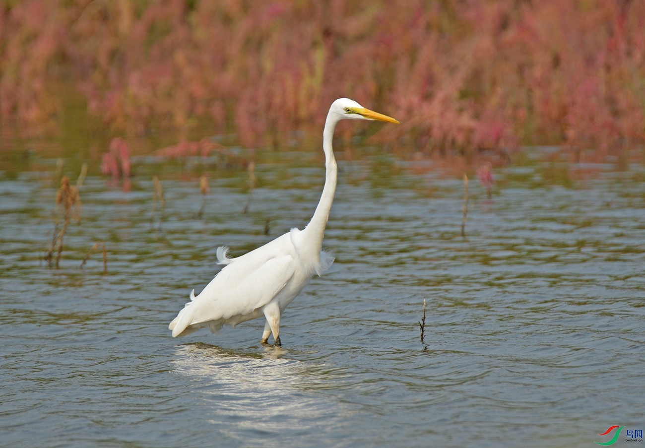 DSC_01872.jpg