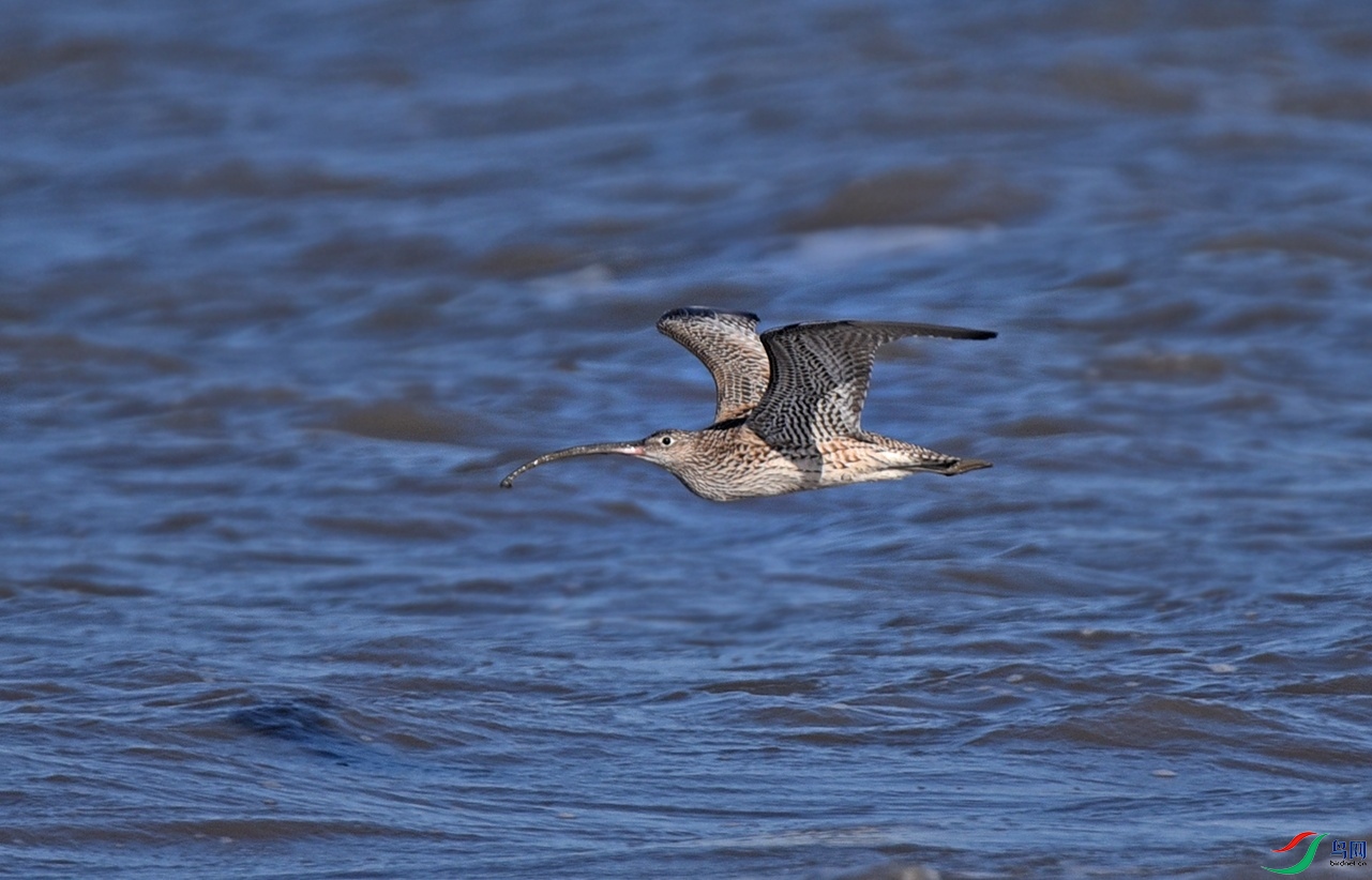 DSC_1655.jpg