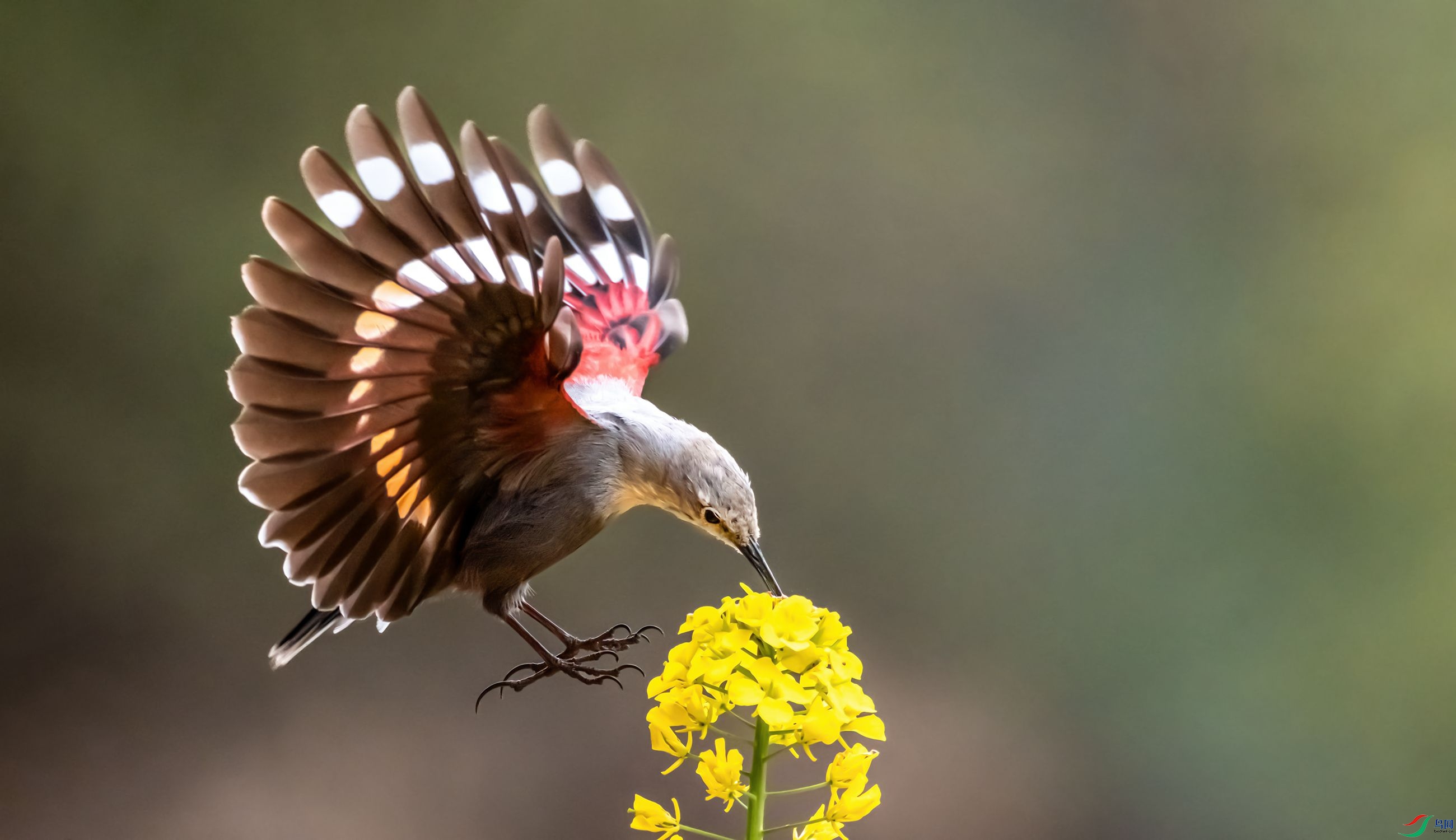 �����ϵġ������񡱨D�D�D�D�D�������ȸ