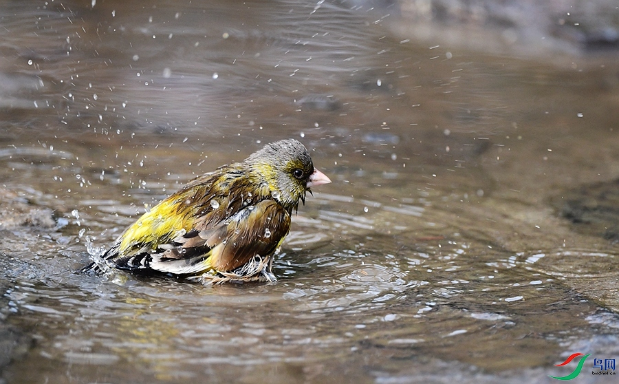 DSC_6123.JPG