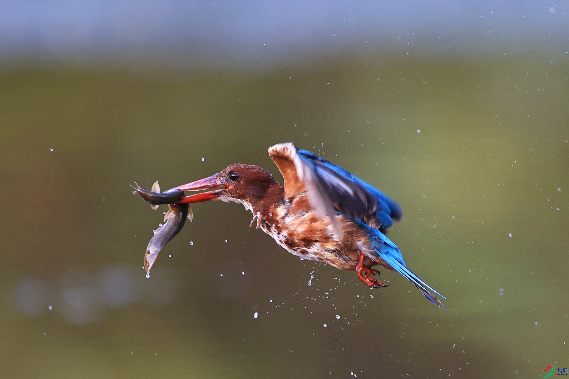 5F7A0883 - ����.jpg