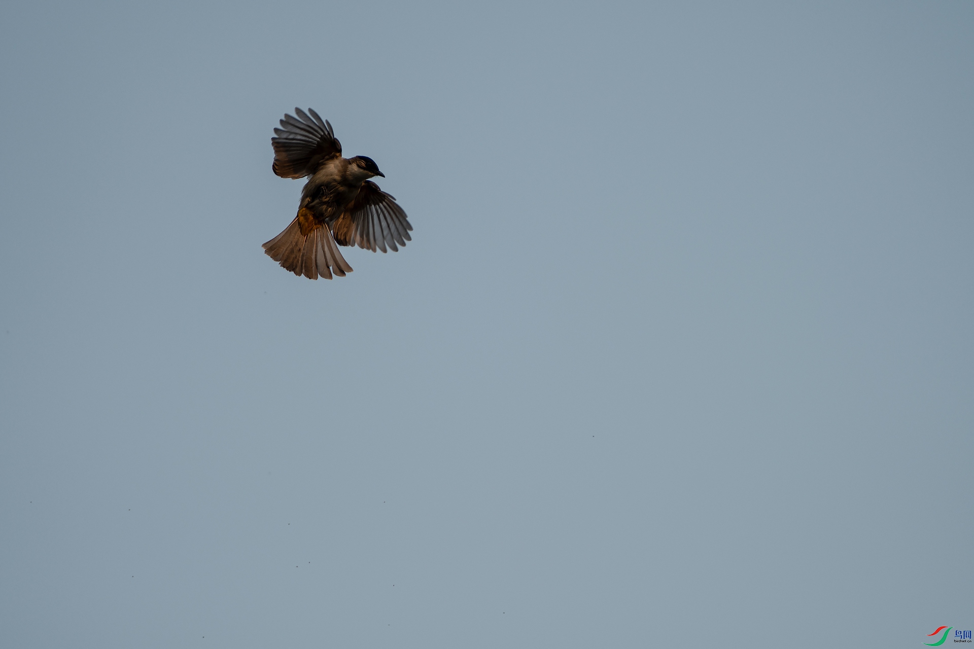 _DSC7028-12.jpg