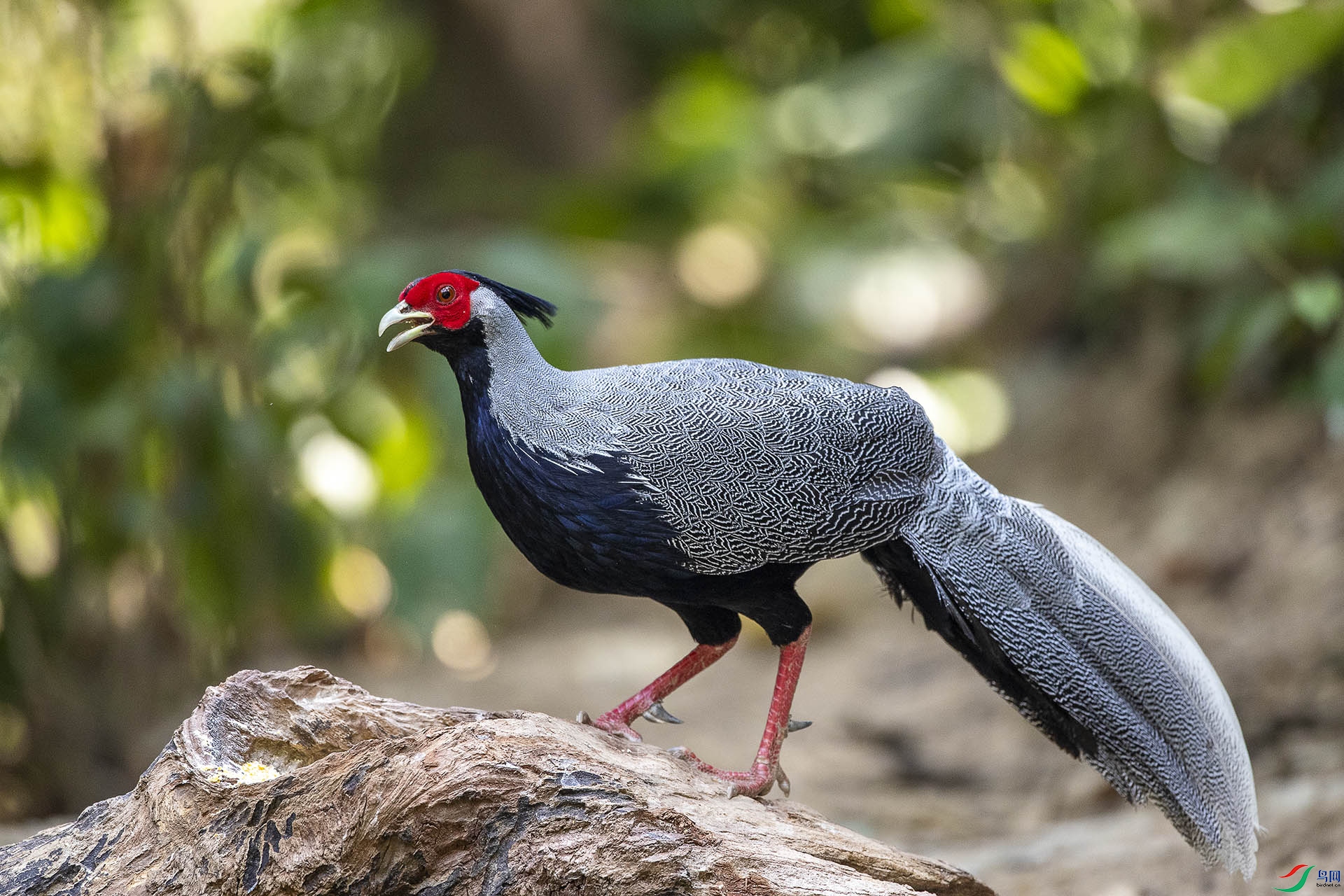 CD0I2759 ����.jpg