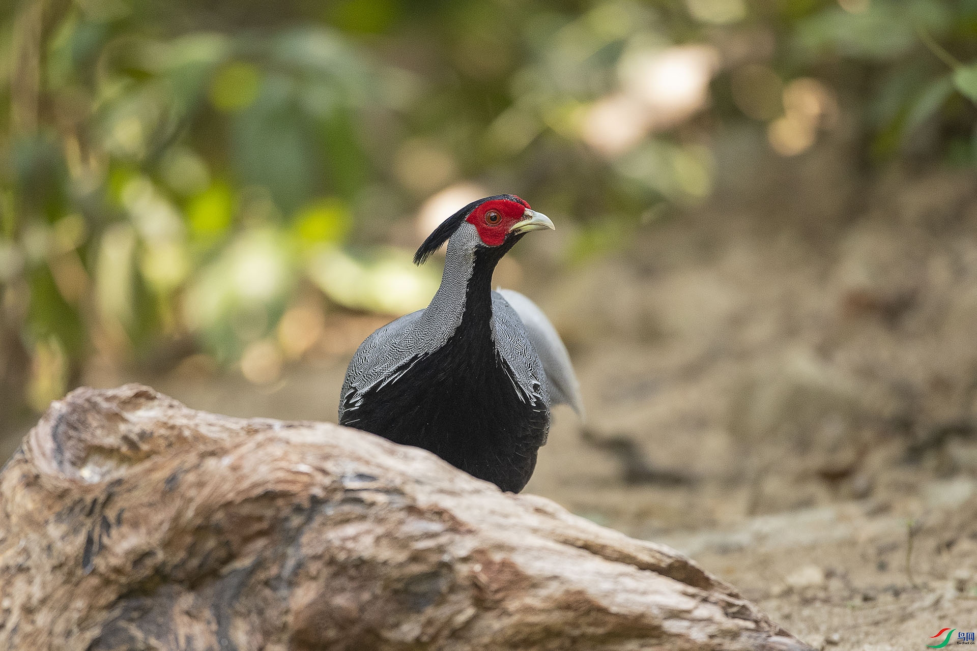 CD0I2533 ����.jpg