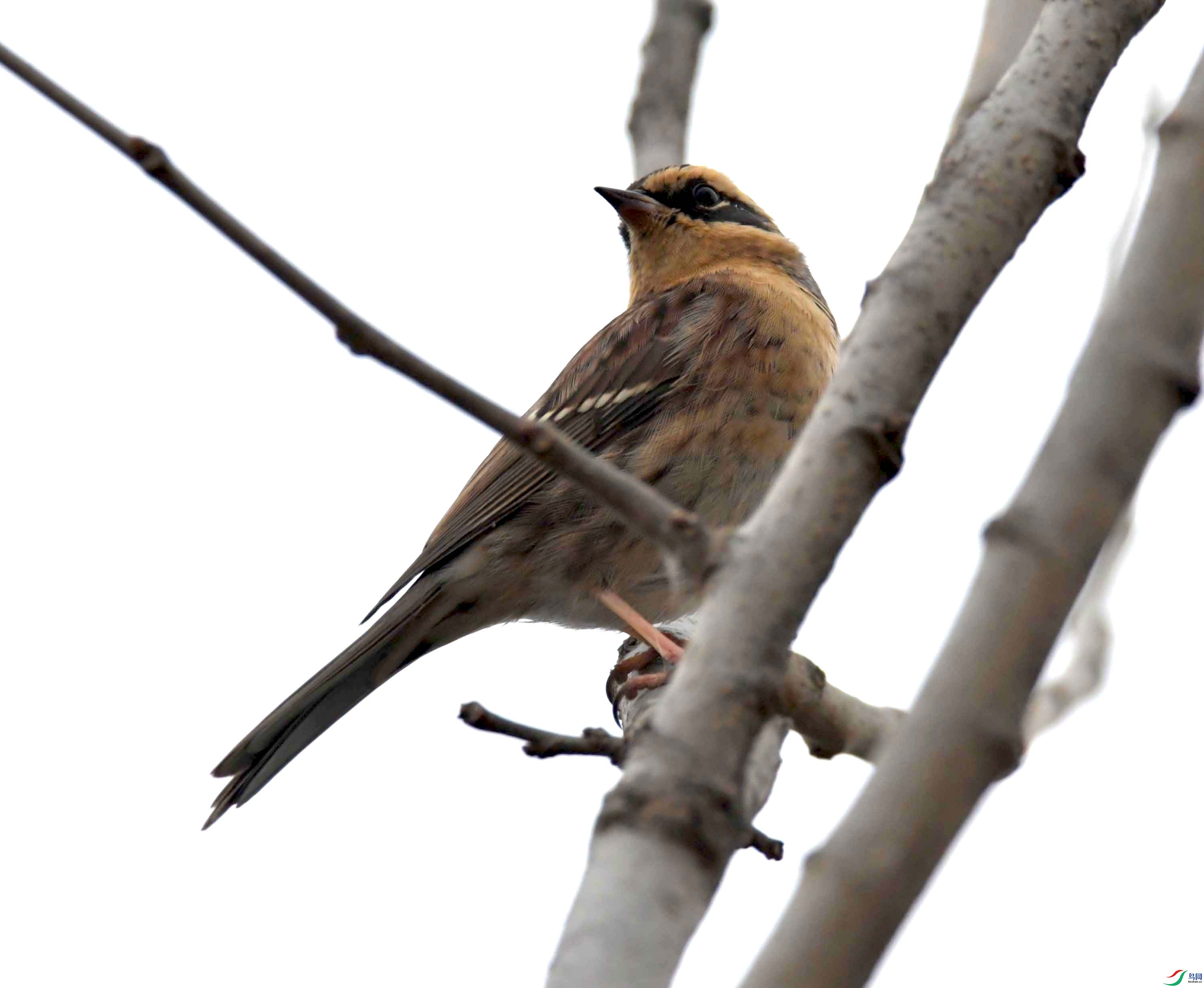 DSC_3324.JPG