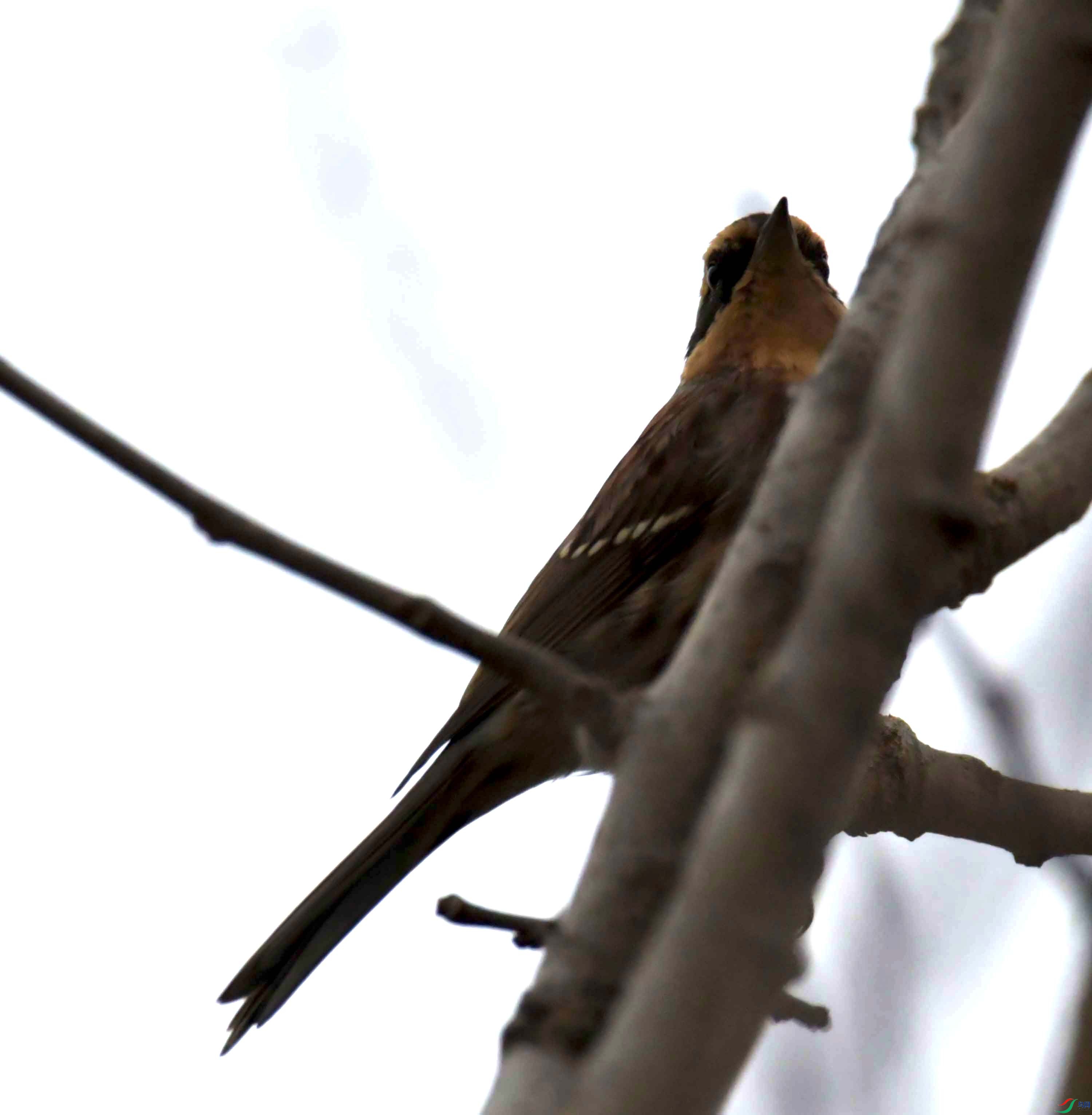 DSC_3320.JPG