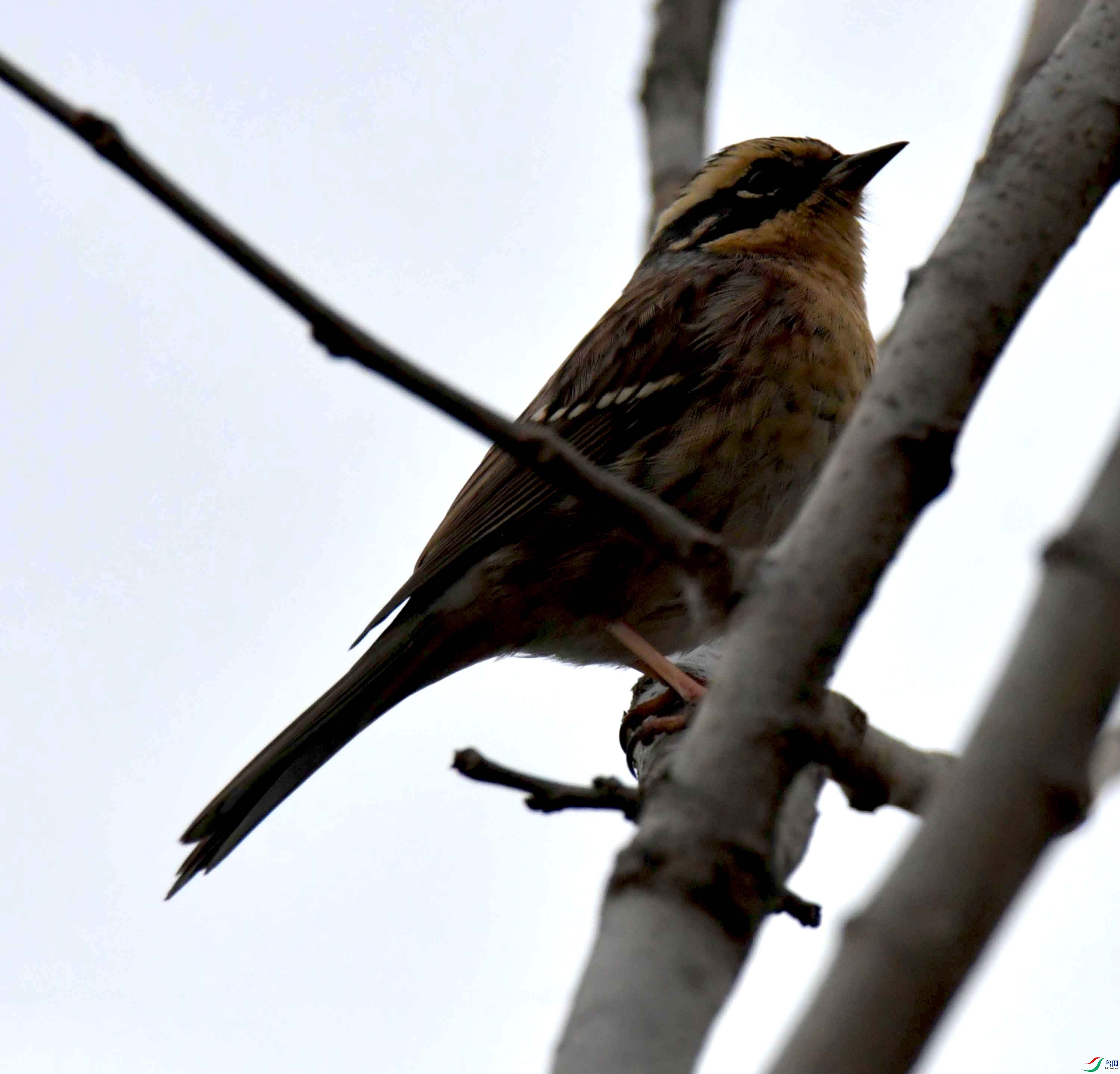 DSC_3333.JPG