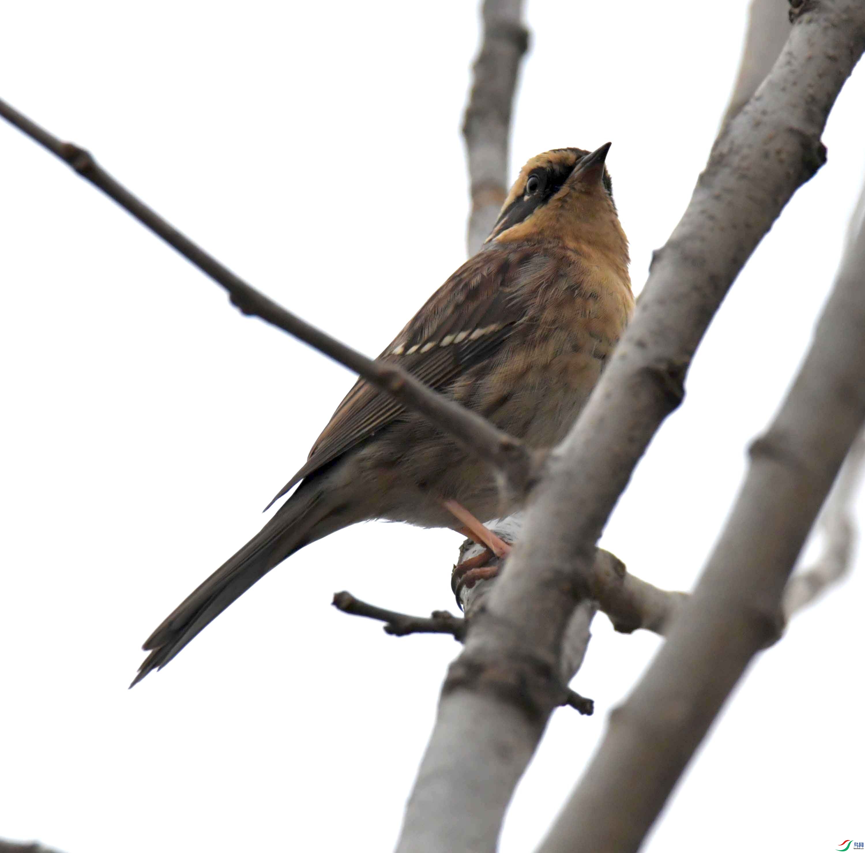 DSC_3339.JPG