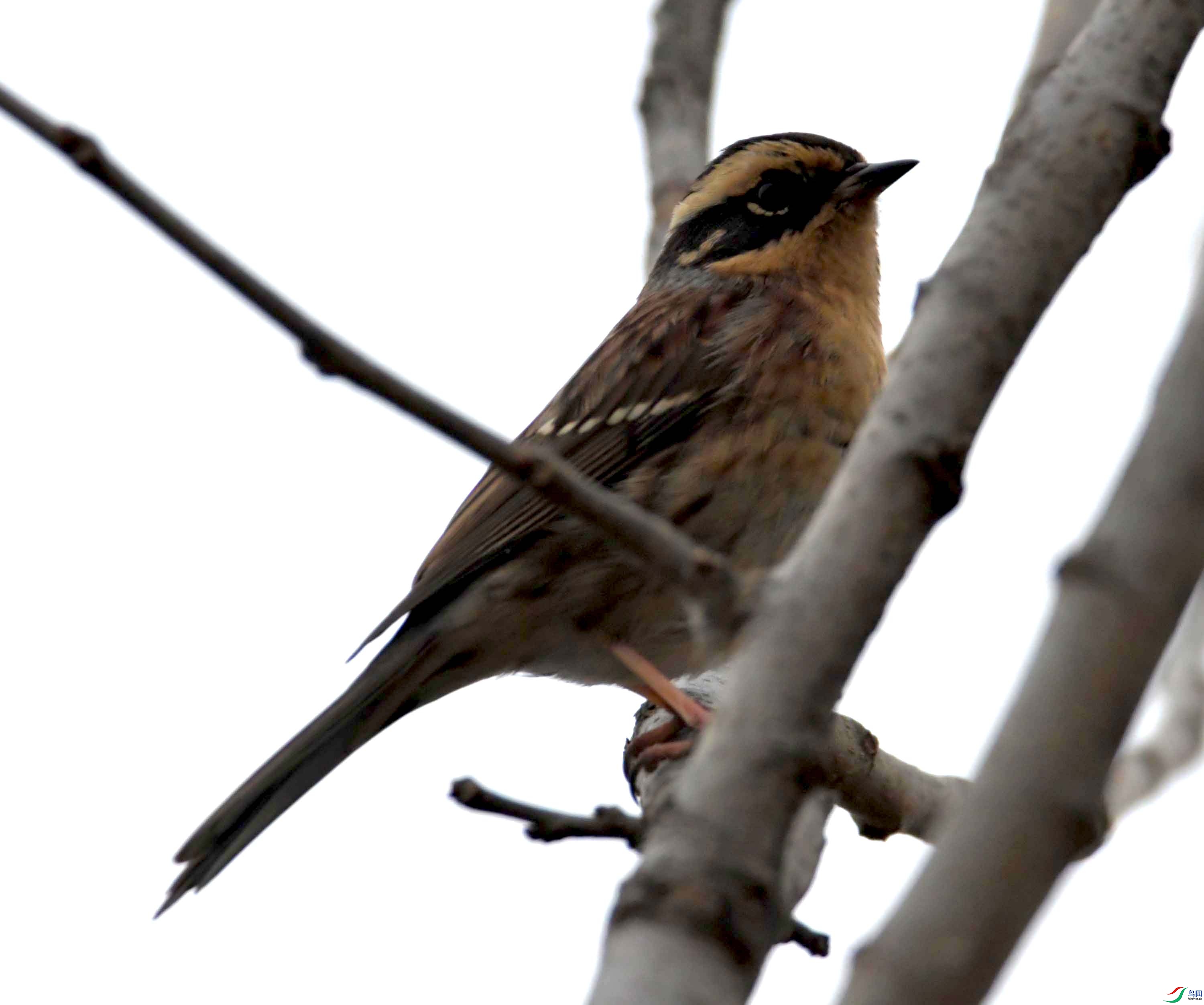 DSC_3341.JPG