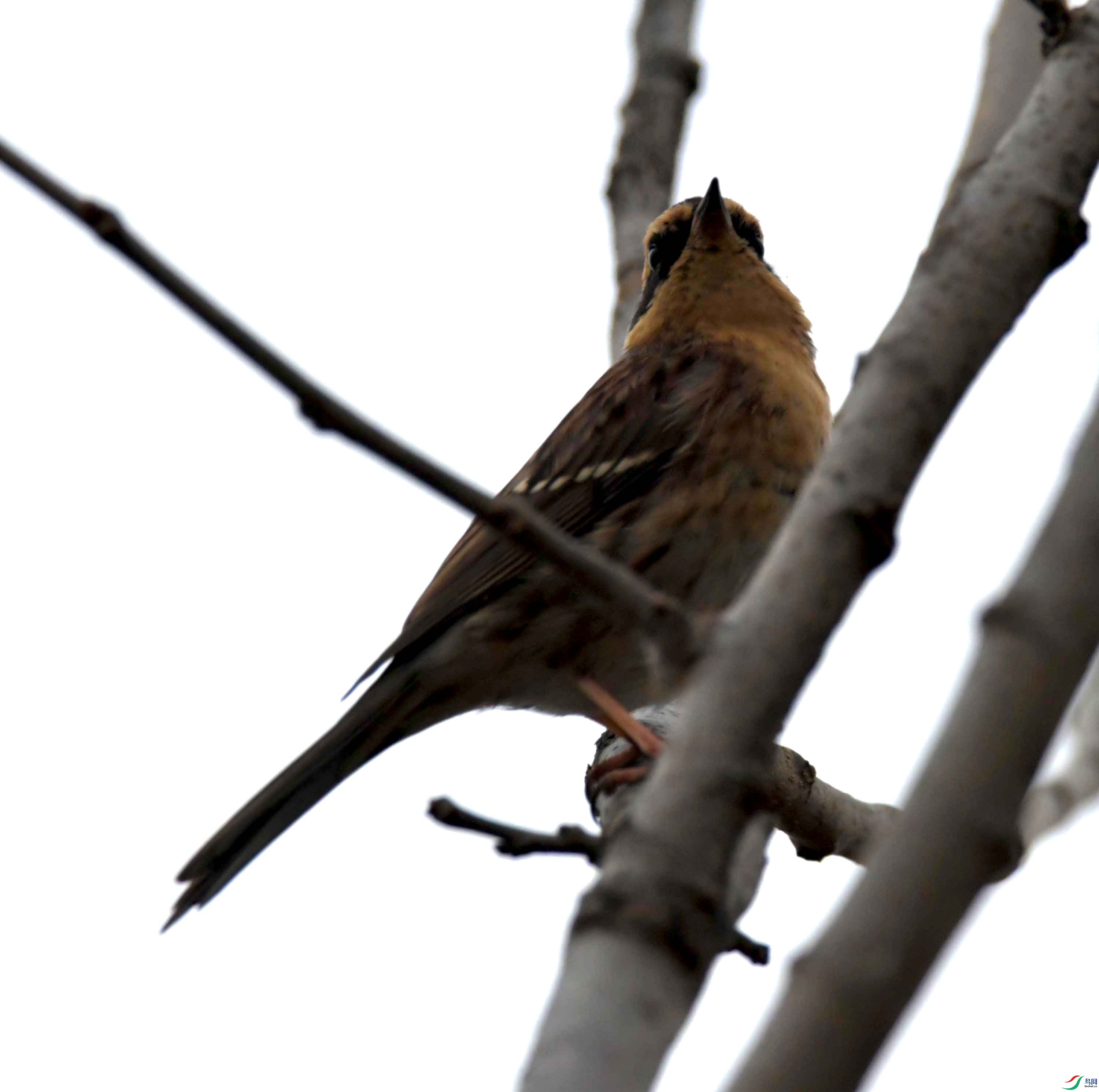DSC_3345.JPG