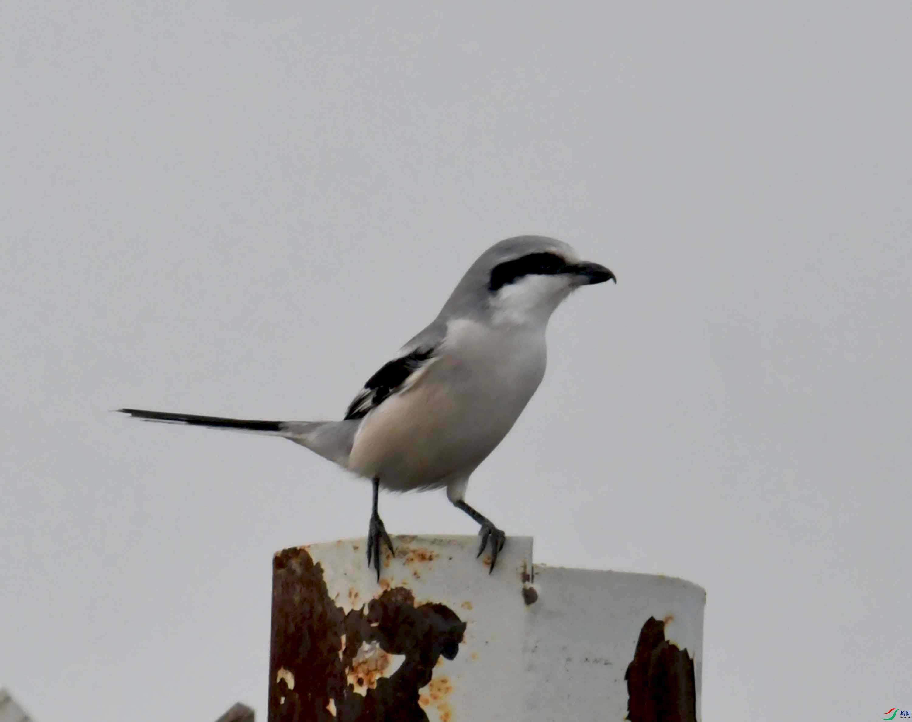 DSC_4061.JPG