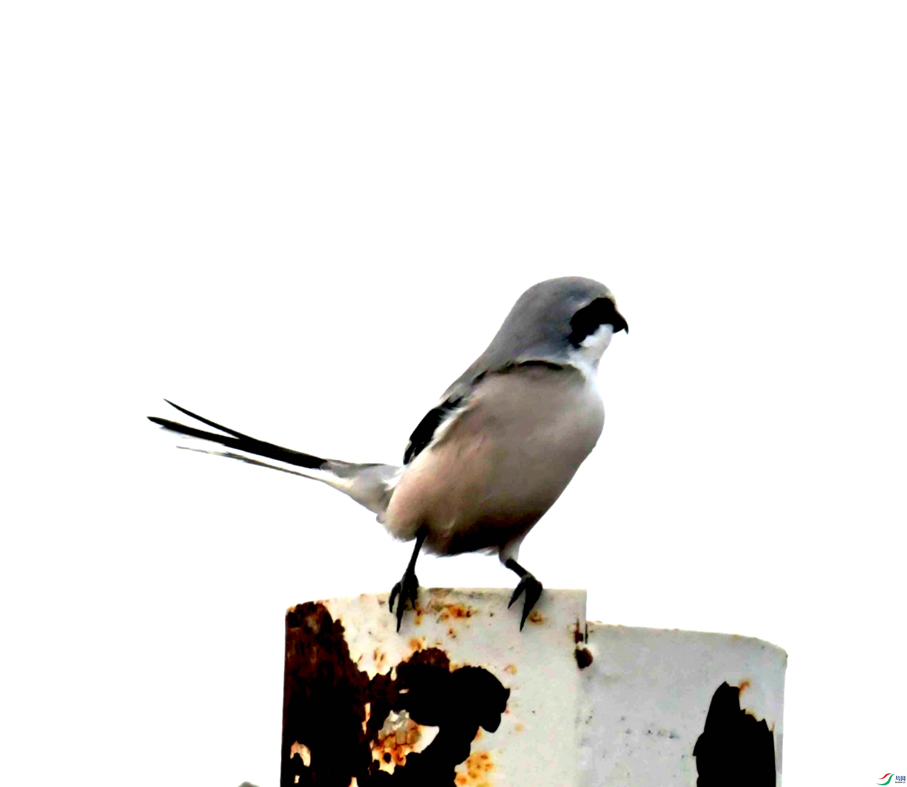DSC_4073.JPG