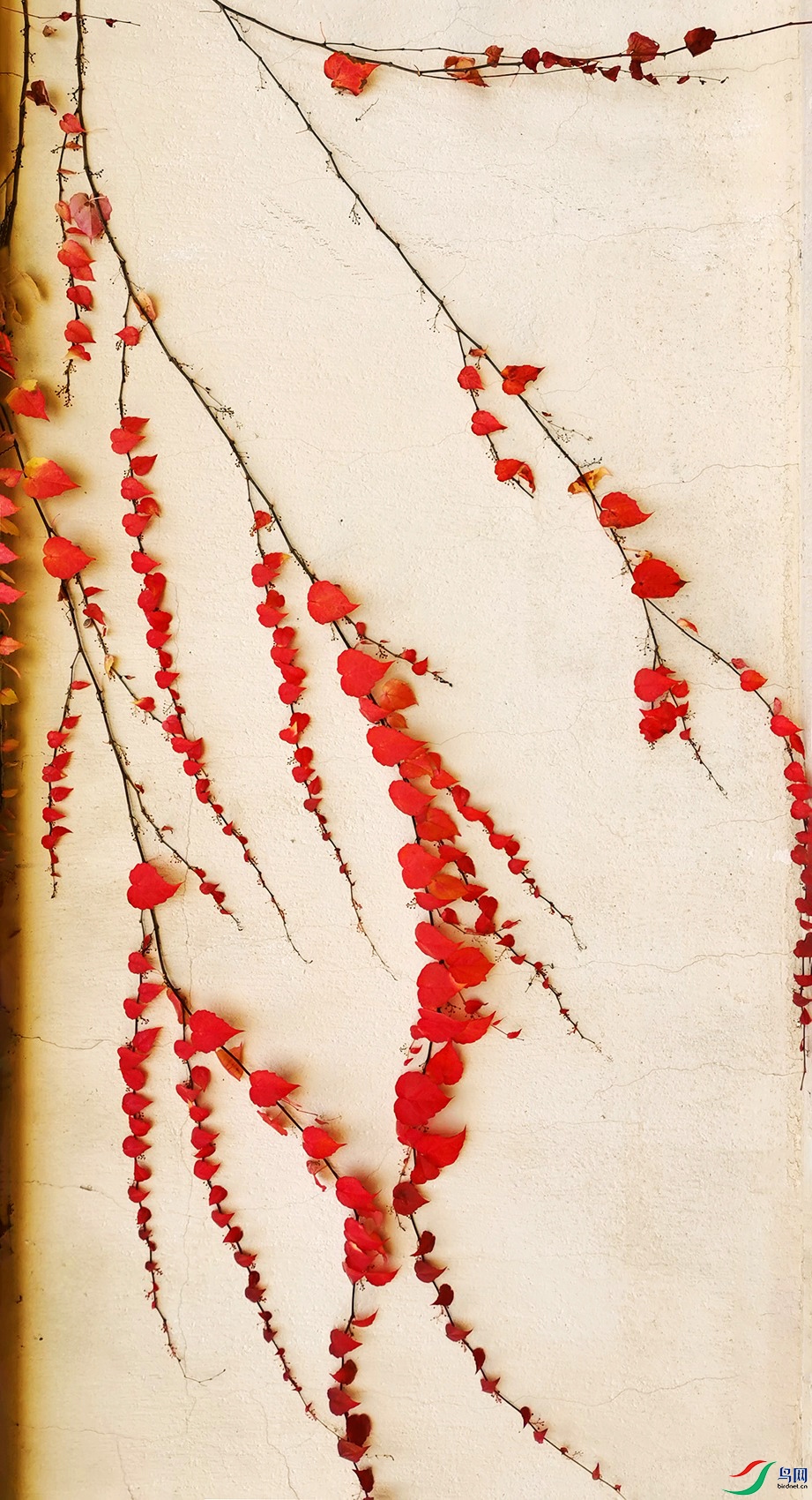 ΢��ͼƬ_20201113152548B-2_����_����.jpg
