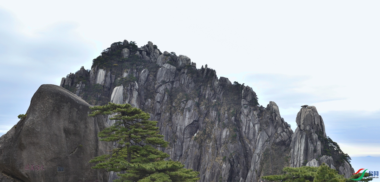 ��ɽ�춼��