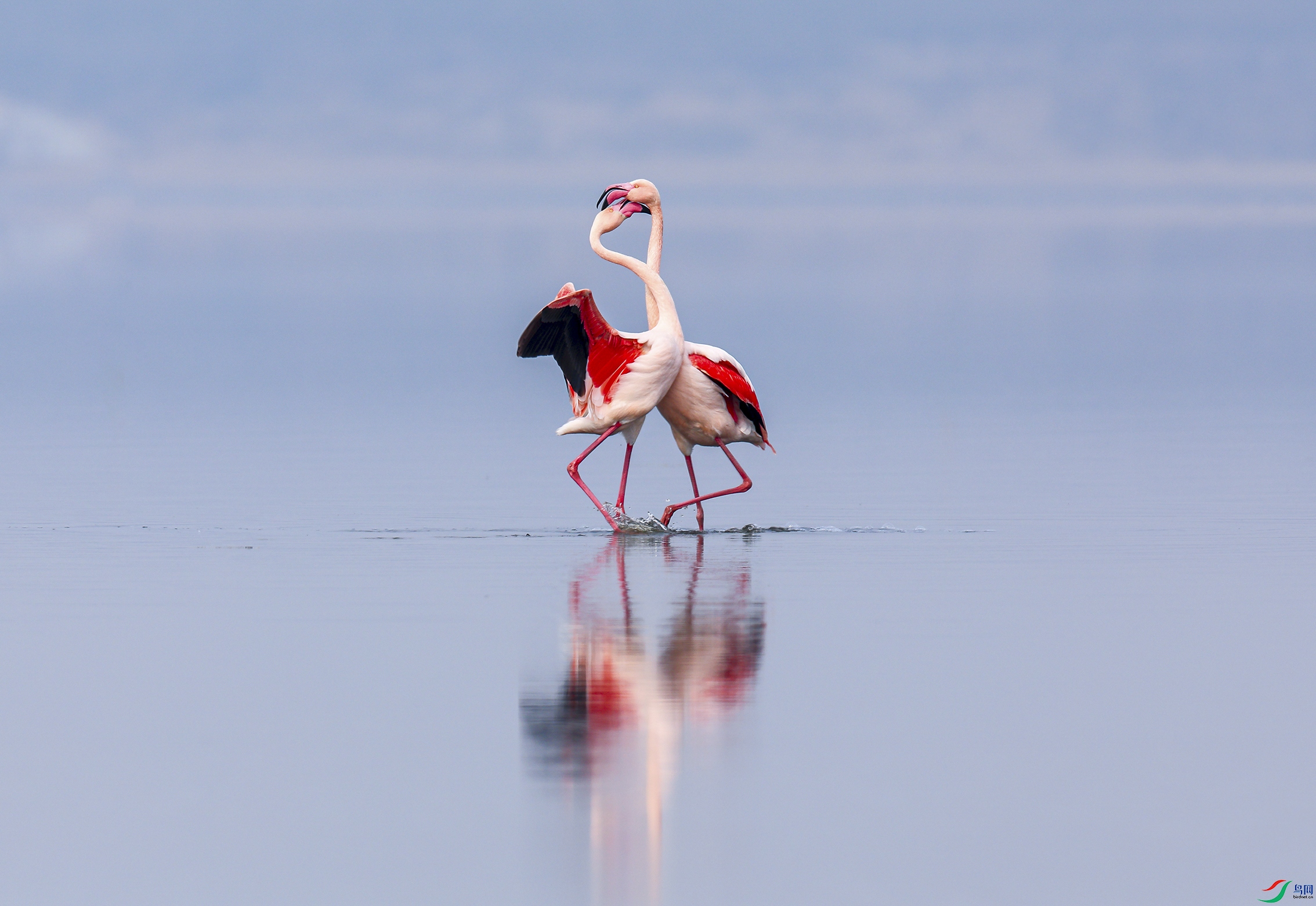 066A0118.jpg