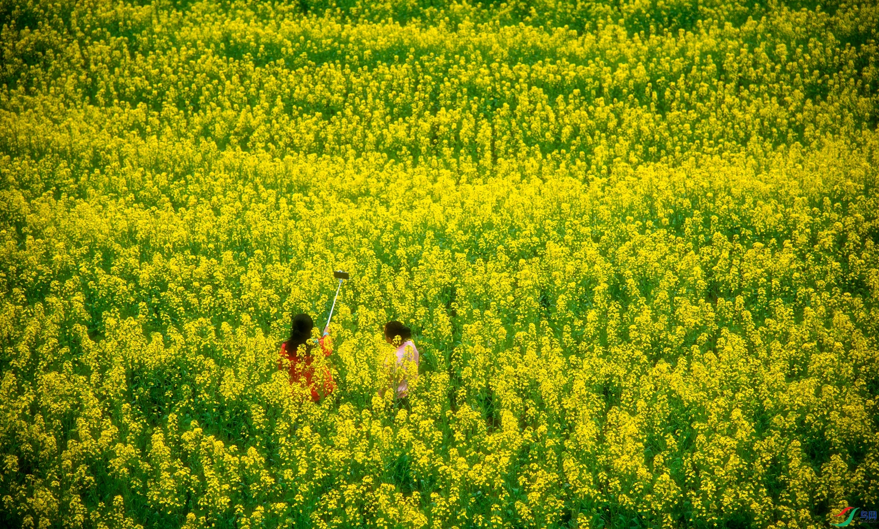 DSC_5700 ����_����.jpg