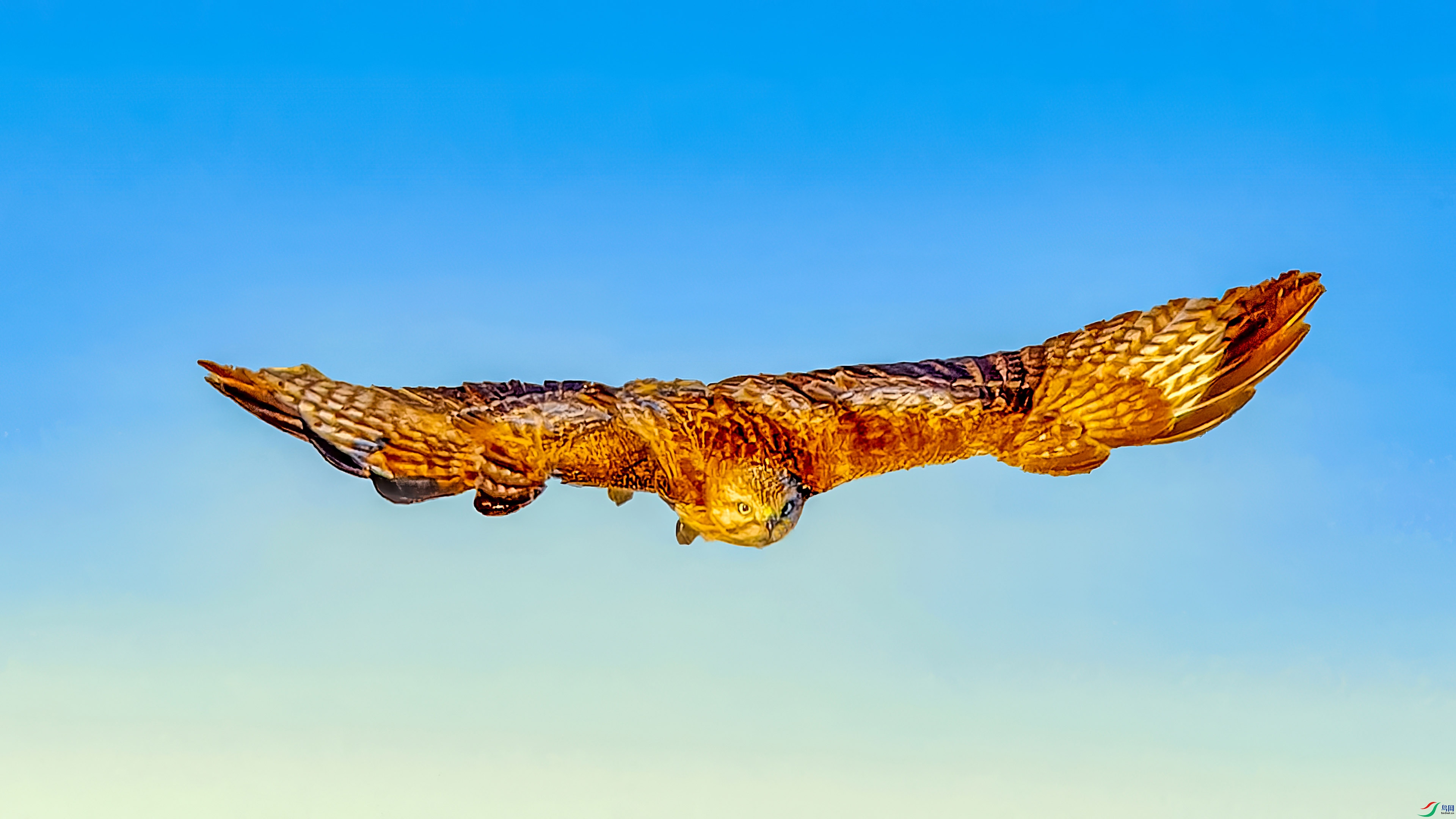 δ����-2-gigapixel.jpg