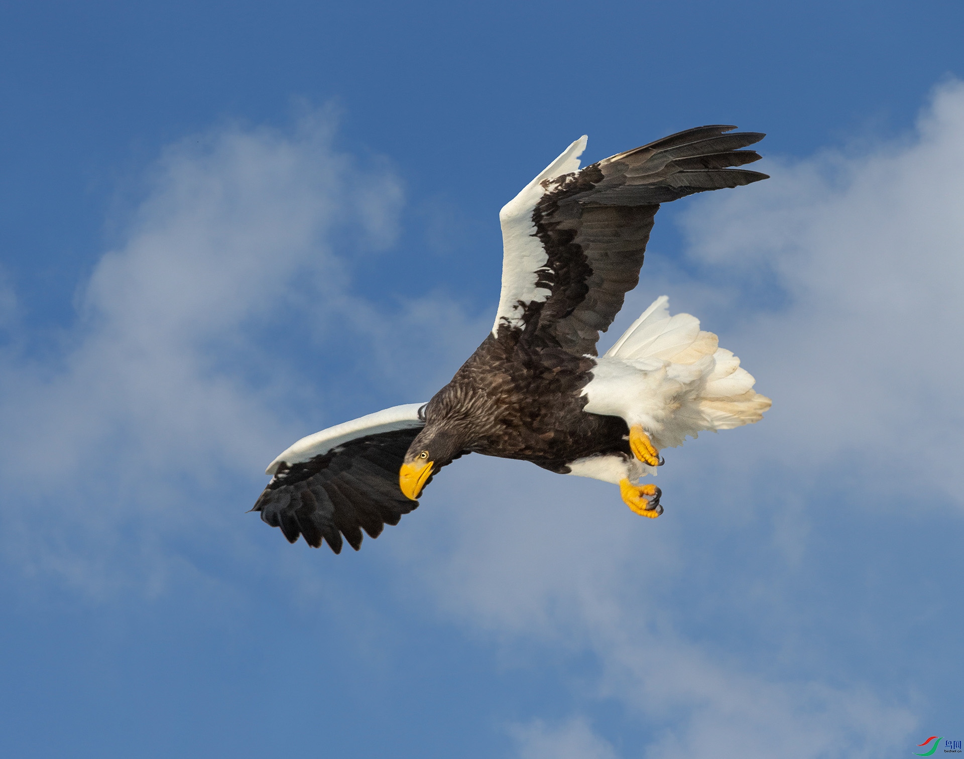 DM8W2238 ����.jpg