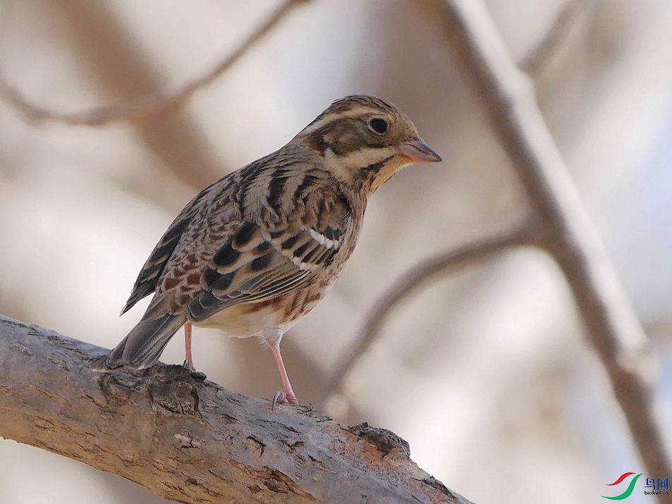 P9400916 - ����.JPG