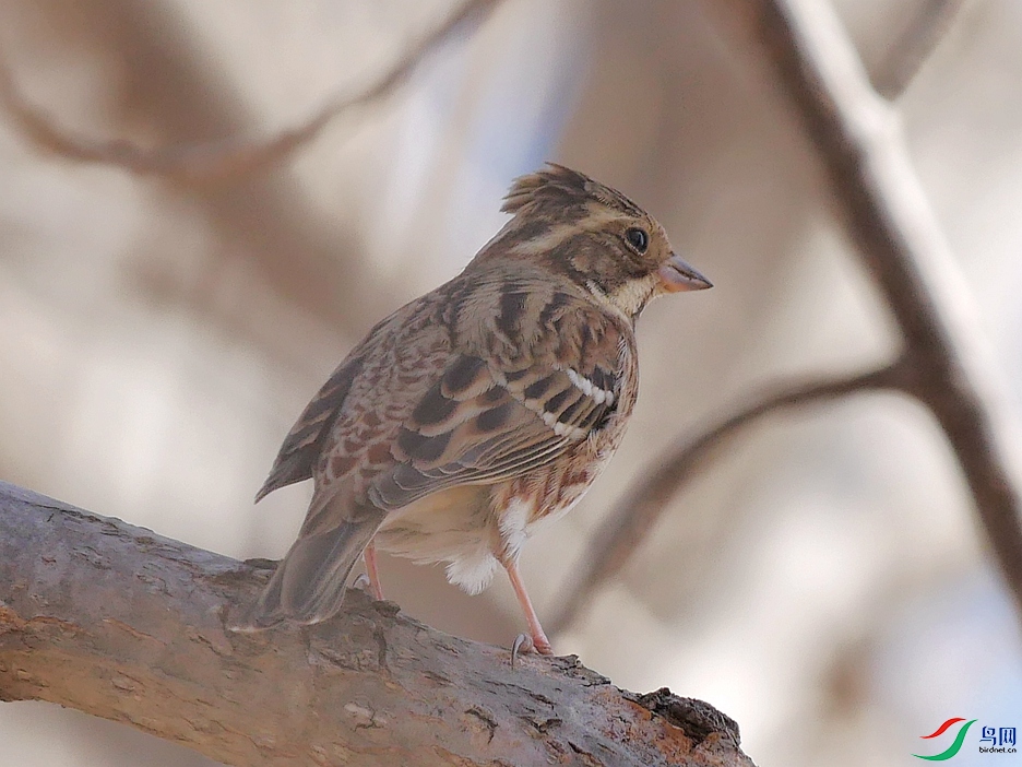 P9400945 - ����.JPG