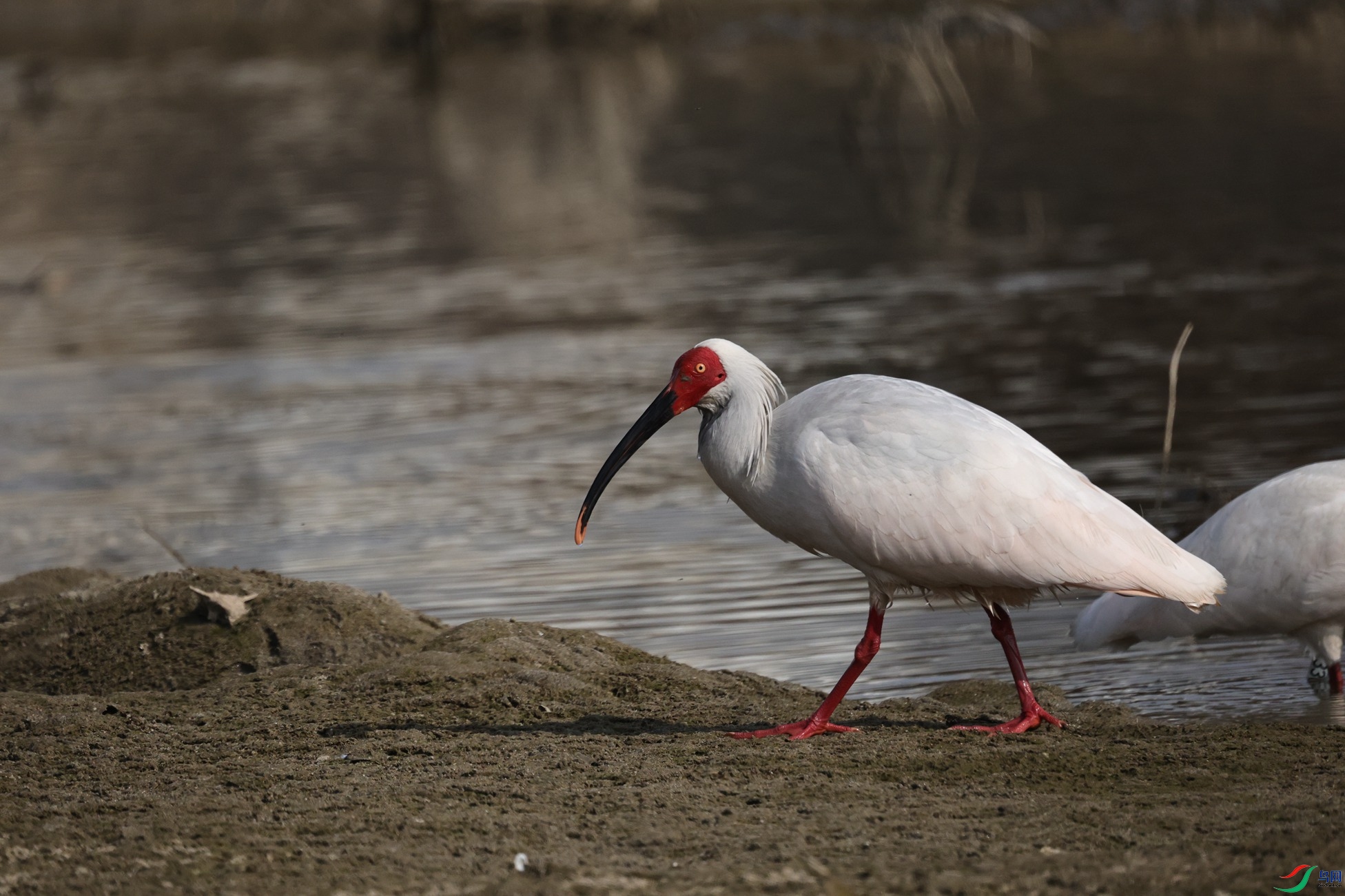 7X5A6506 - ����_����.jpg