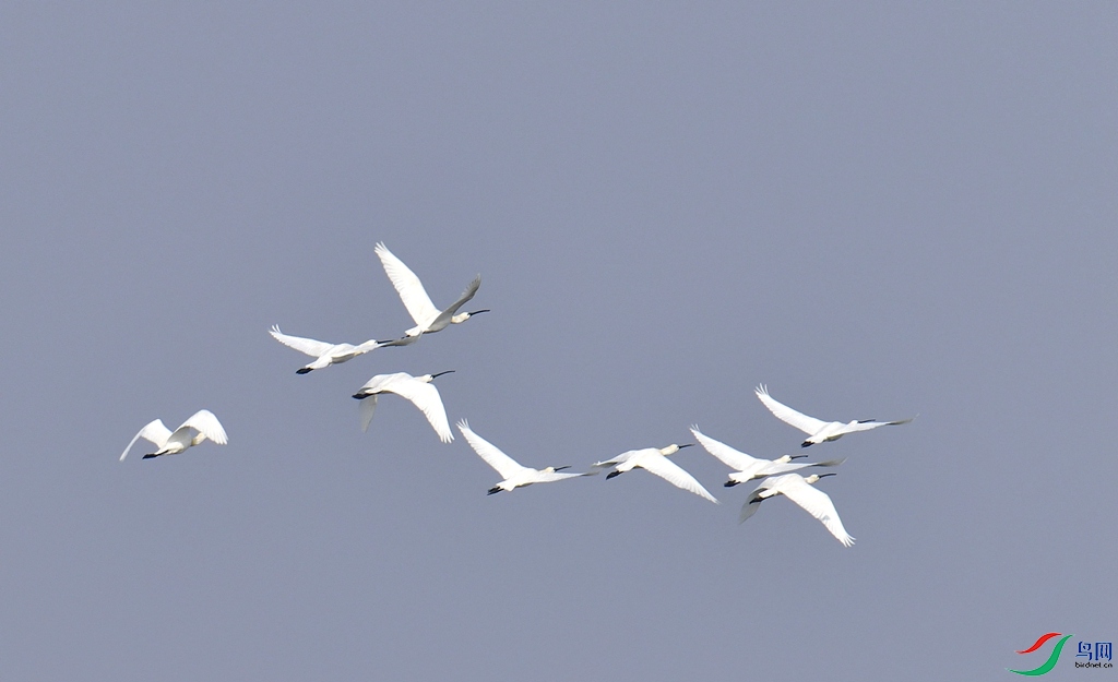 DSC_7515.jpg