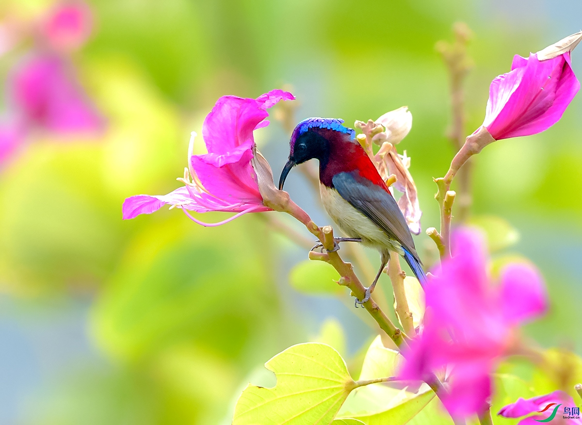 DSC_6156.JPG