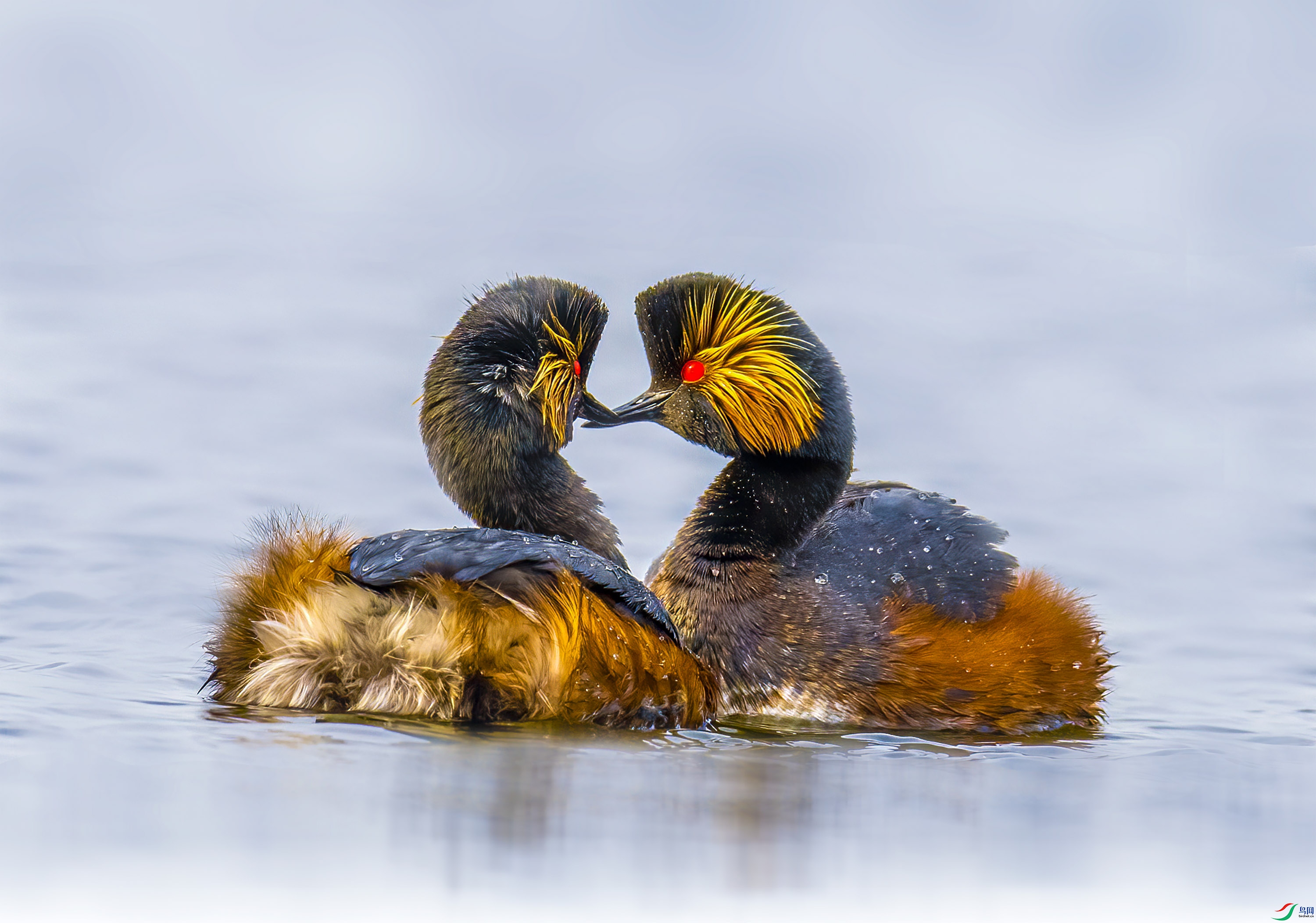 _JLN6831     ok ����.jpg