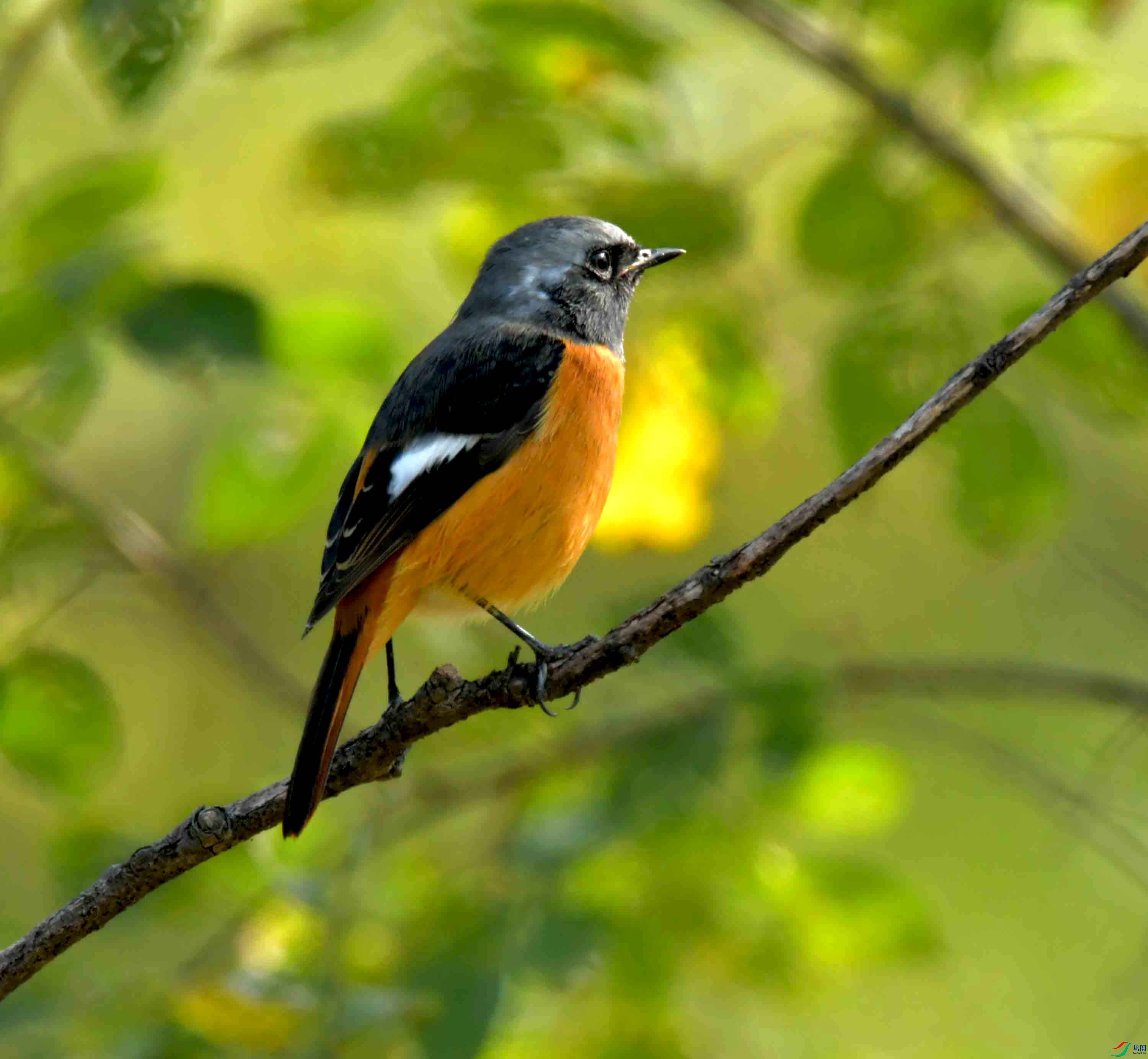 DSC_6472.JPG
