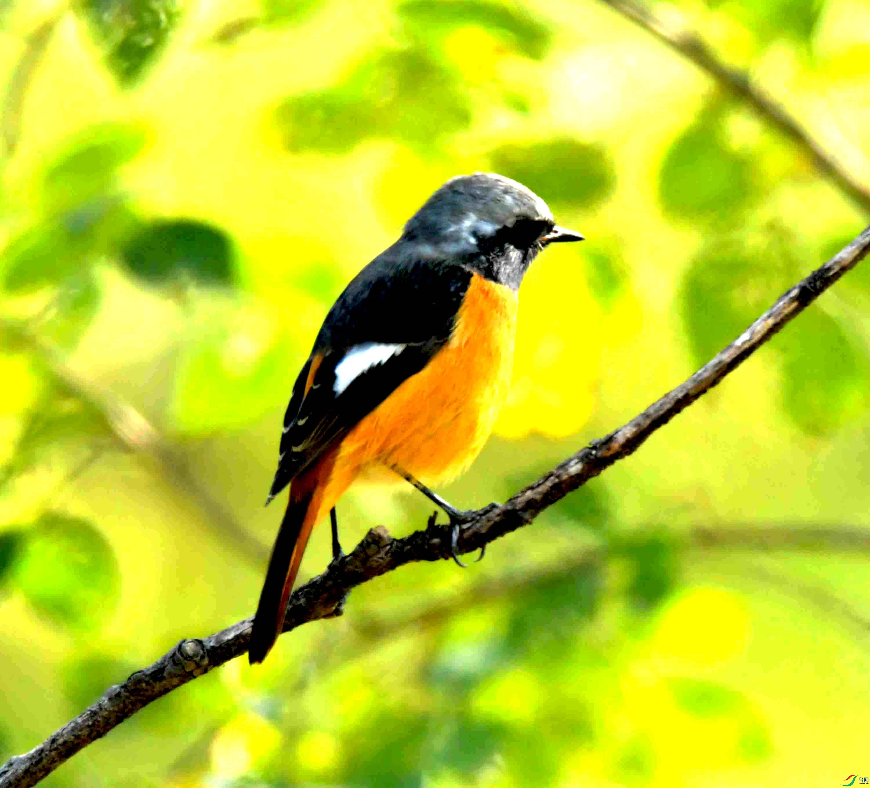 DSC_6474.JPG