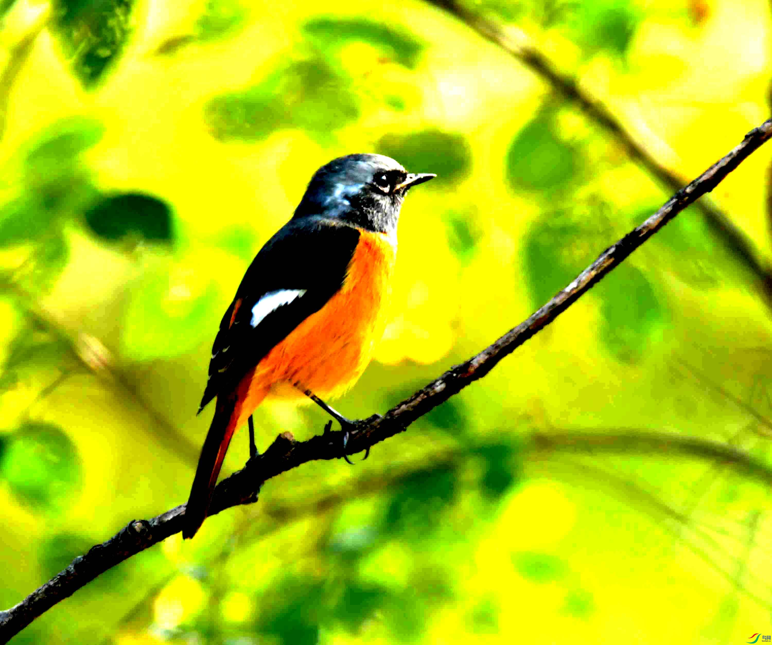 DSC_6471.JPG