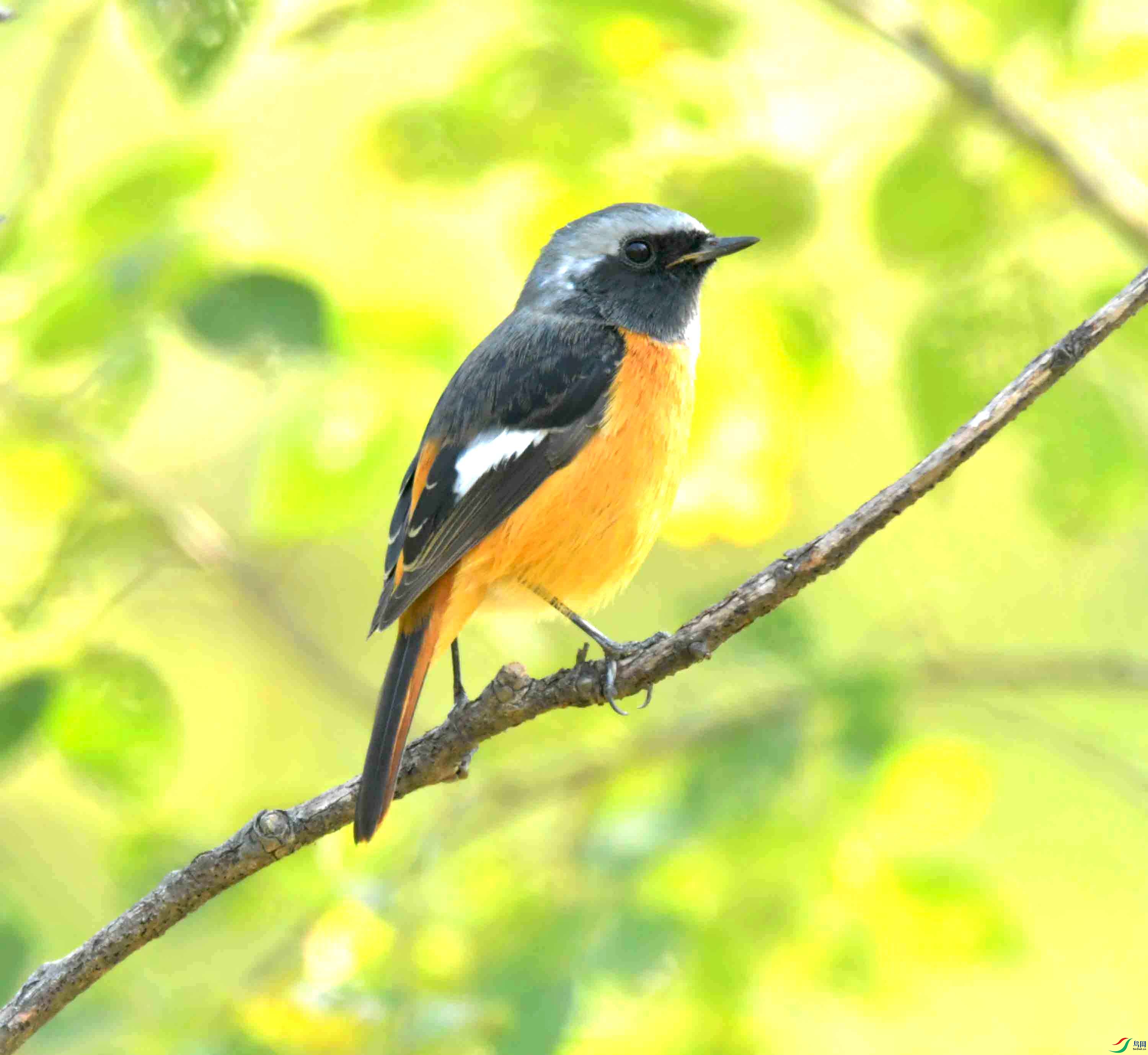 DSC_6491.JPG