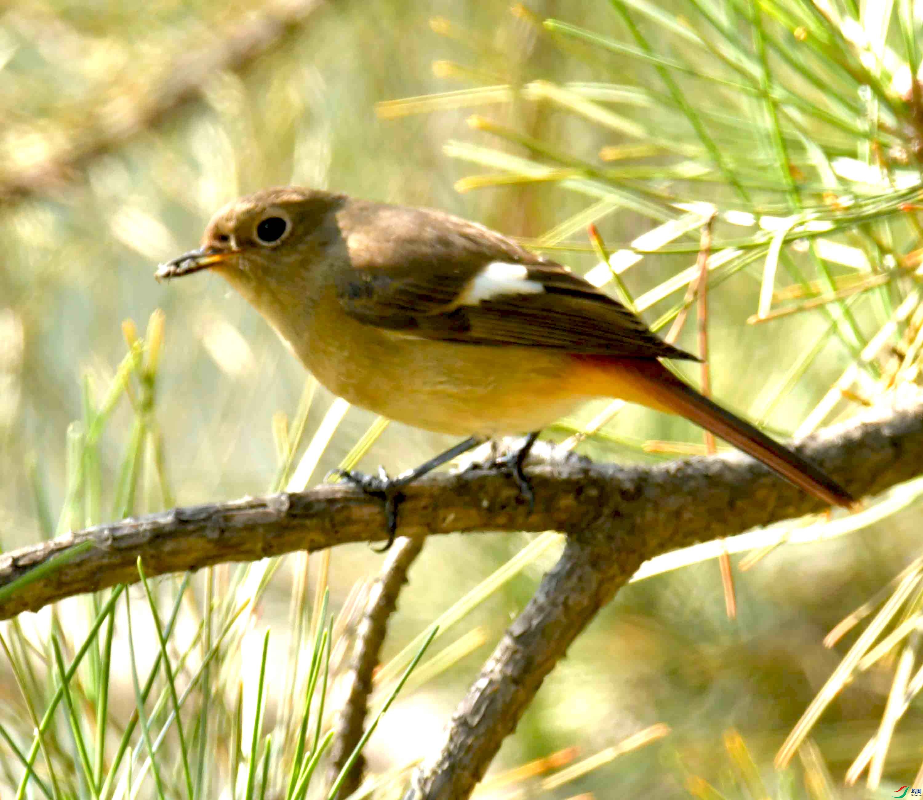 DSC_6564.JPG