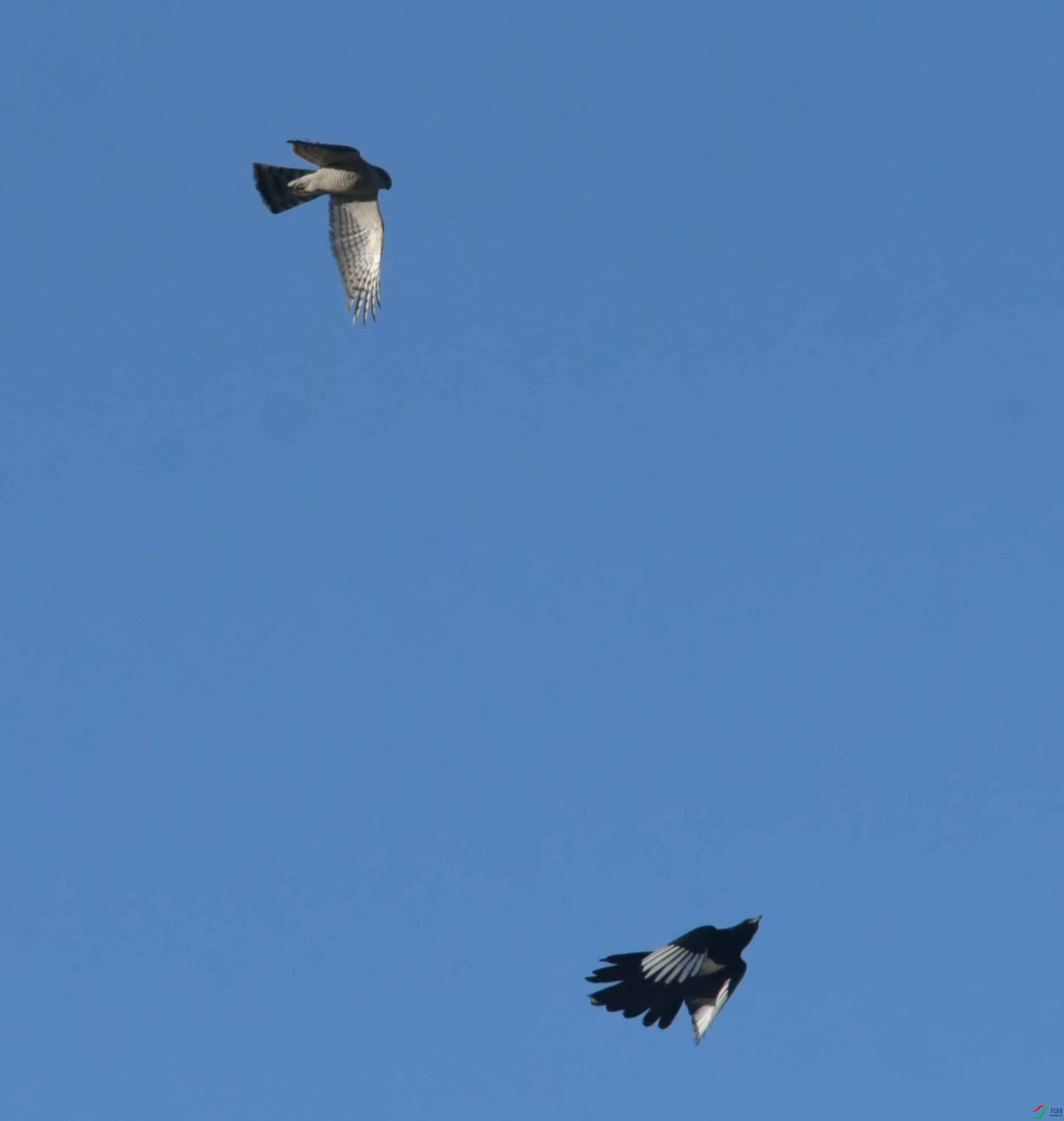DSC_9328.JPG
