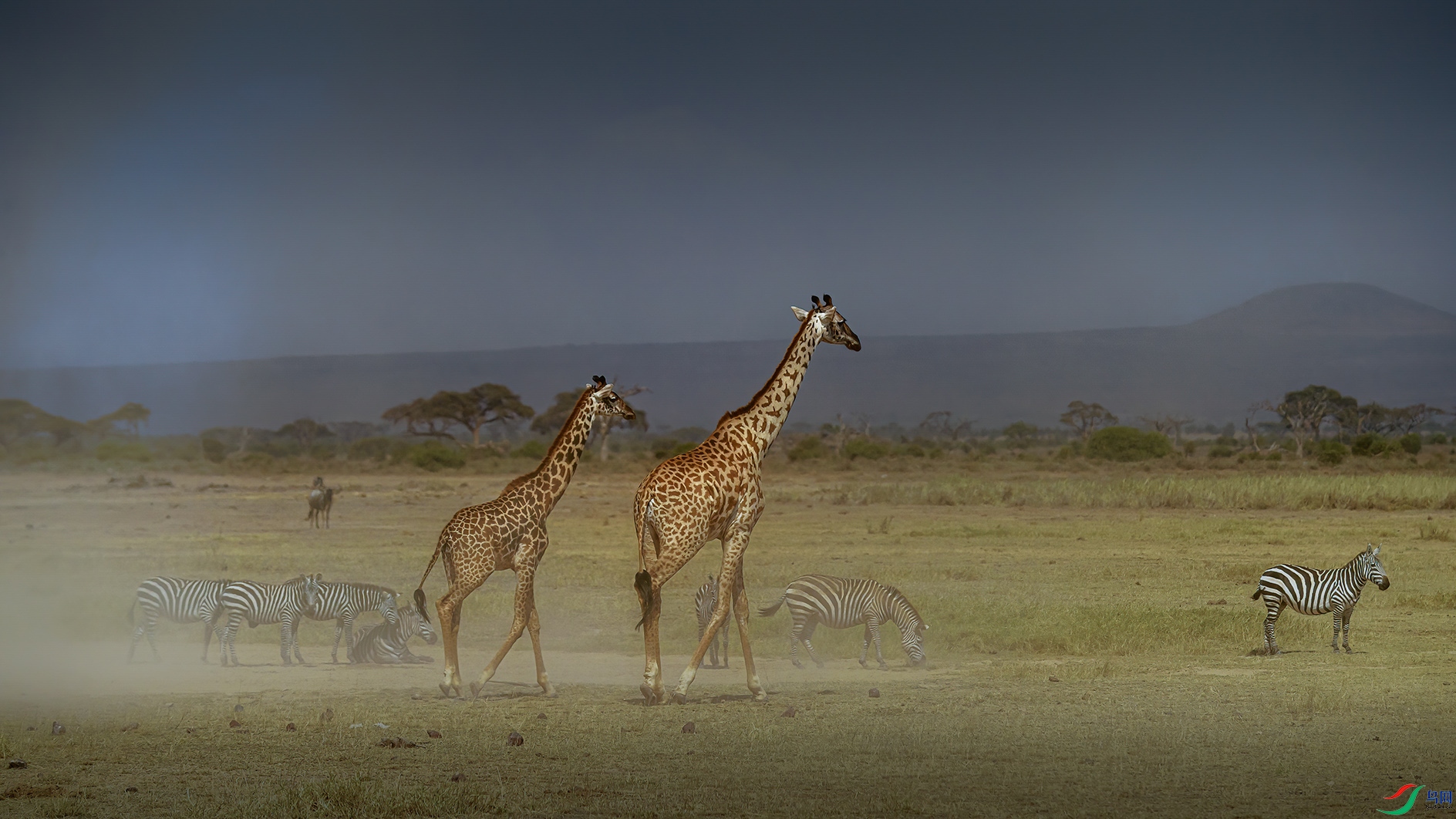 �����ڿ����ǰ���������