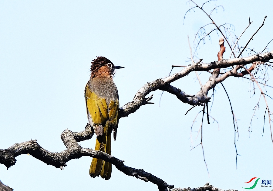 DSC_7249.JPG