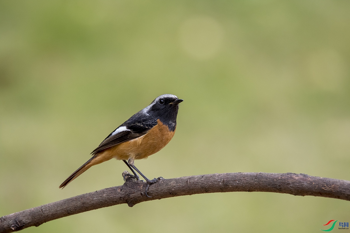 3F8A0734_����β� A.jpg