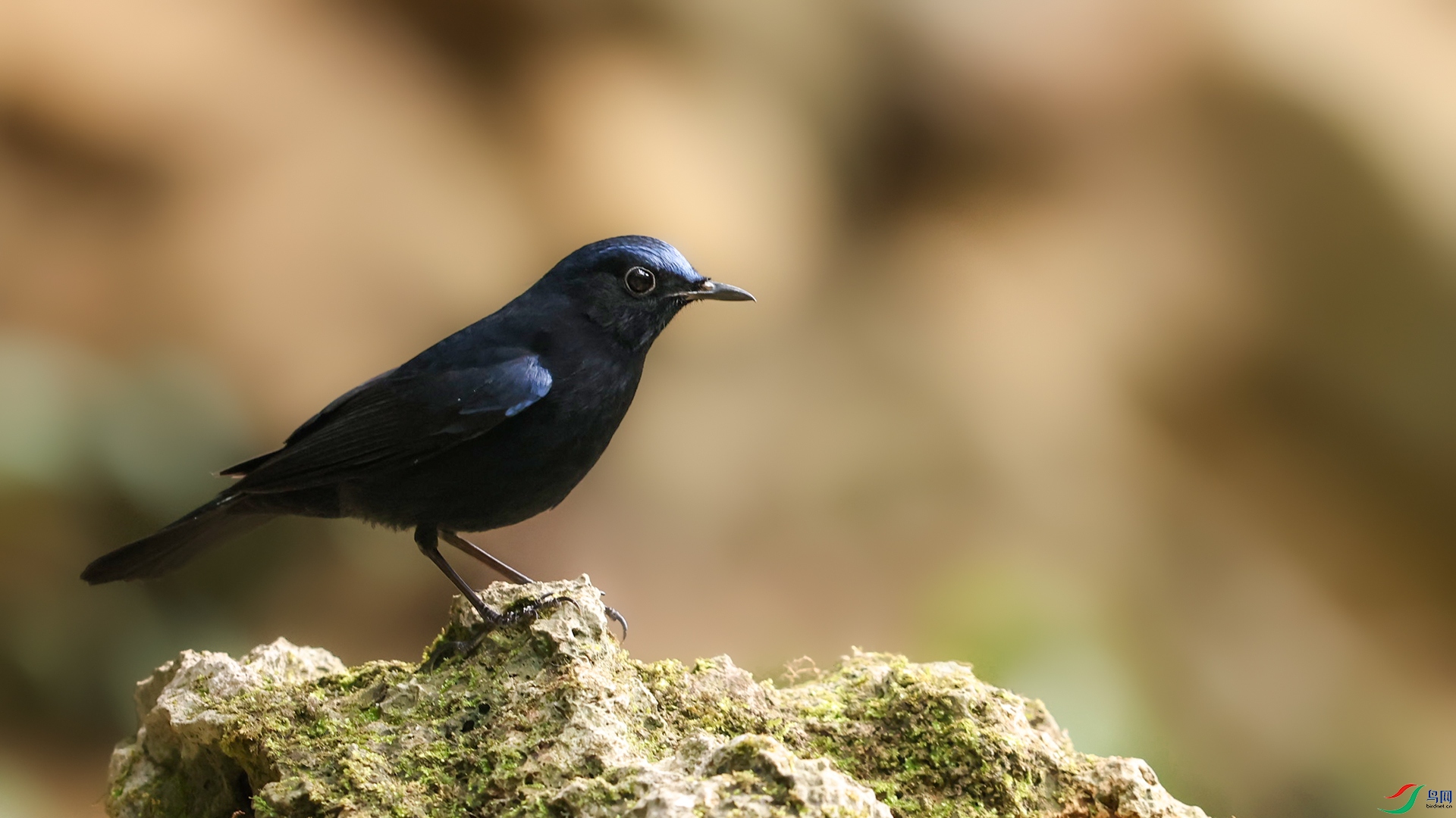 8J3A5117����ŵ��.JPG