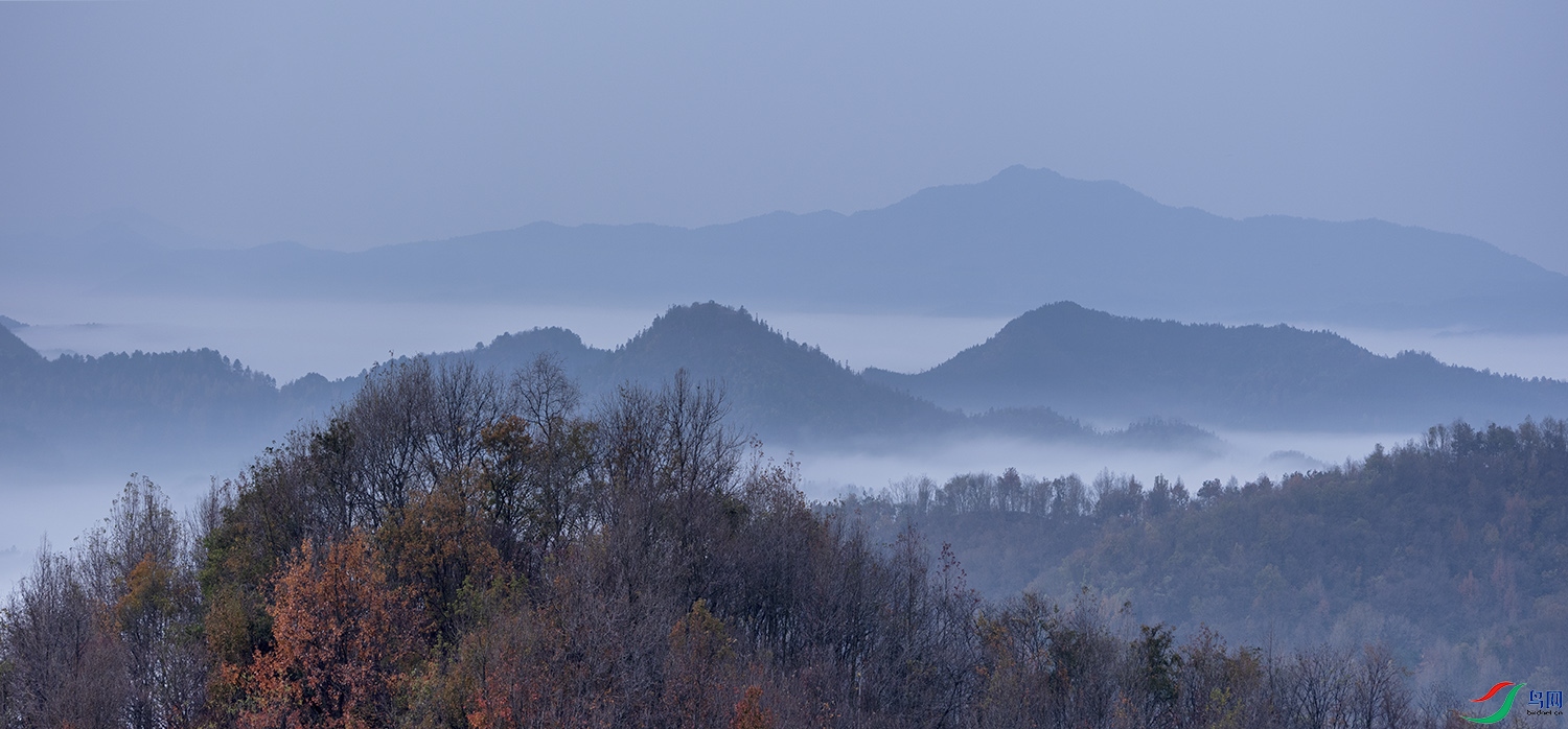 DSCF6445 ����.jpg