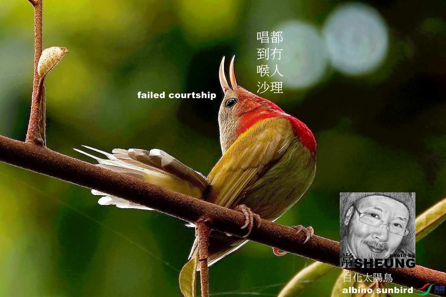 sd DSC06714 2nmete.jpg