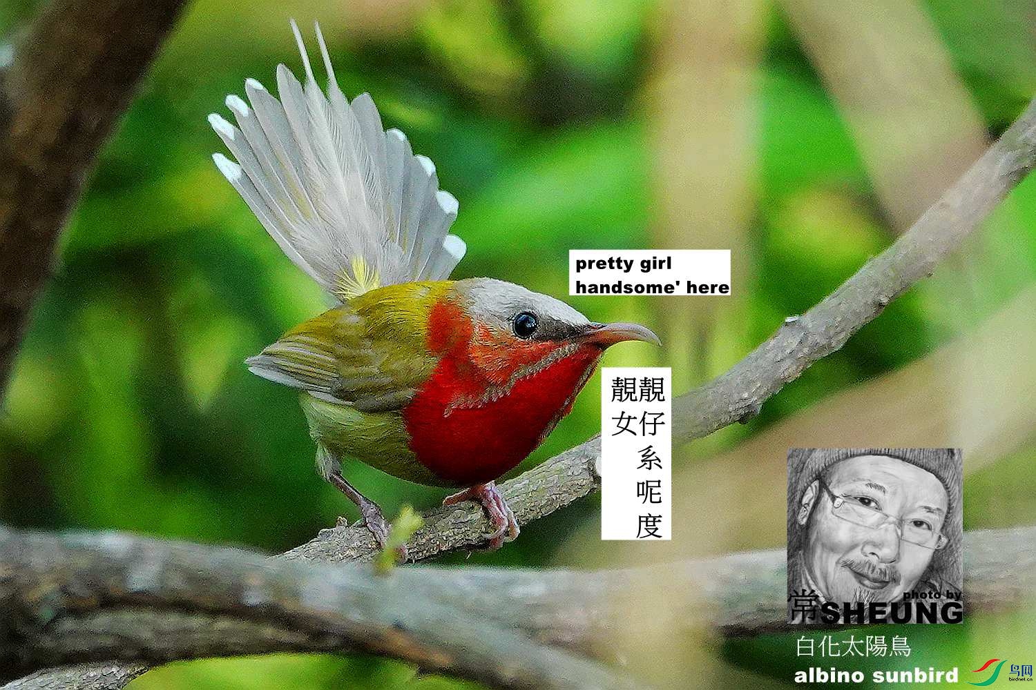 sd DSC05899 3nmete.jpg