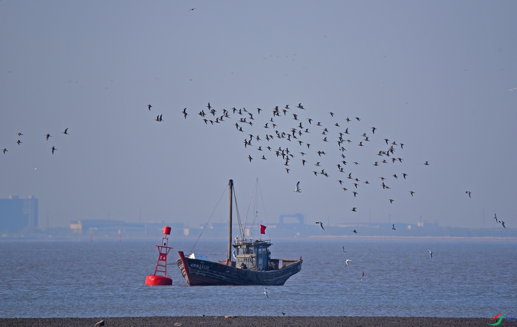 DSC_9810d_��ͼ��.jpg