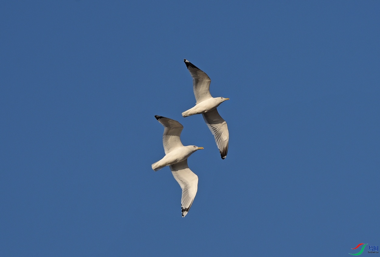 DSC_6189f_��ͼ��.jpg