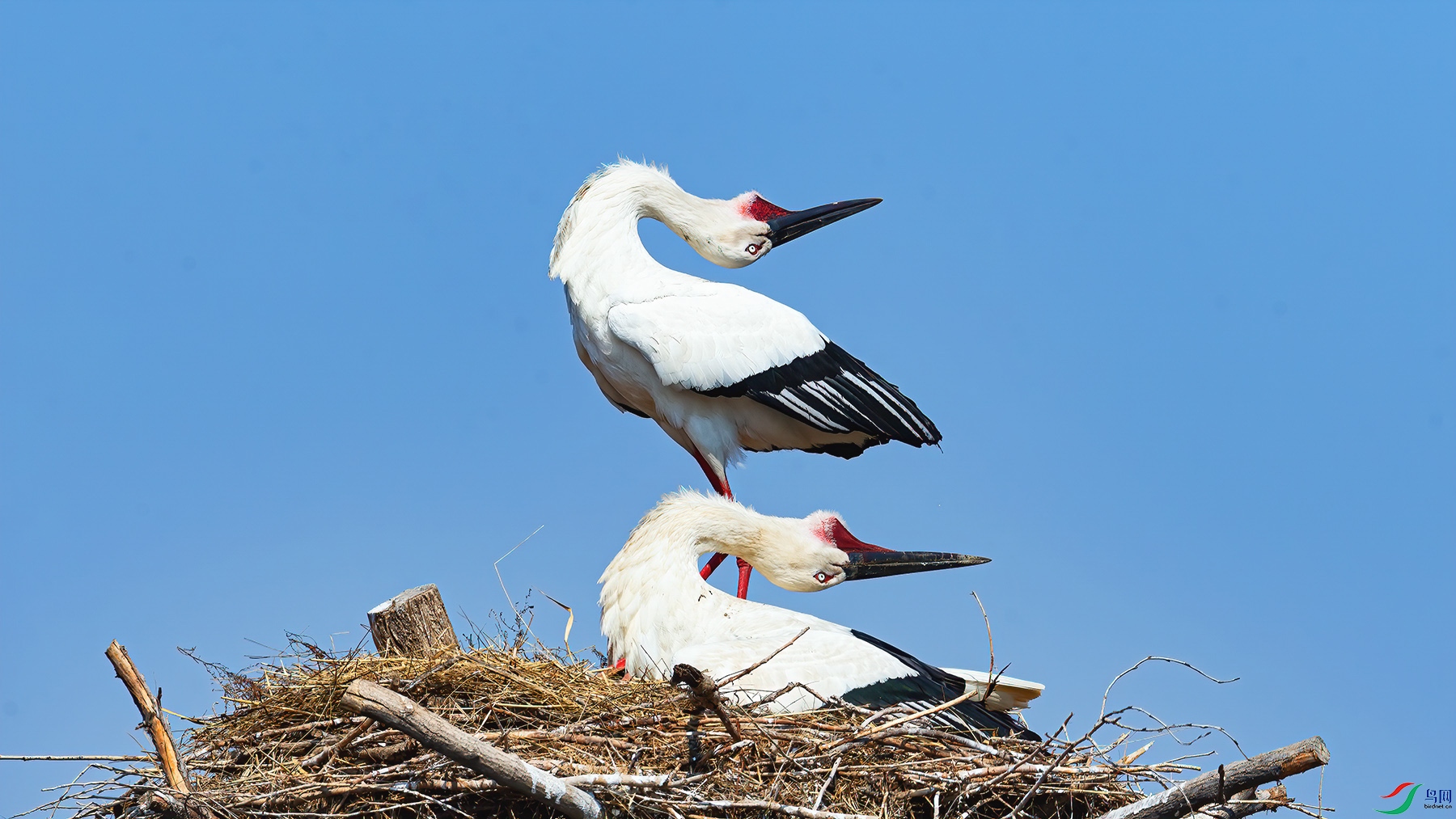 L01_9133-3.jpg