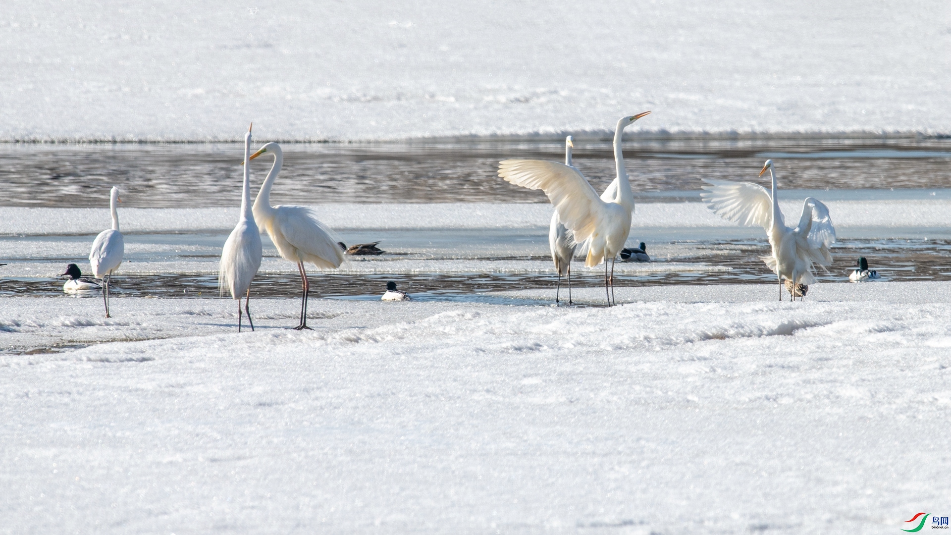 _DSC7118_����.jpg